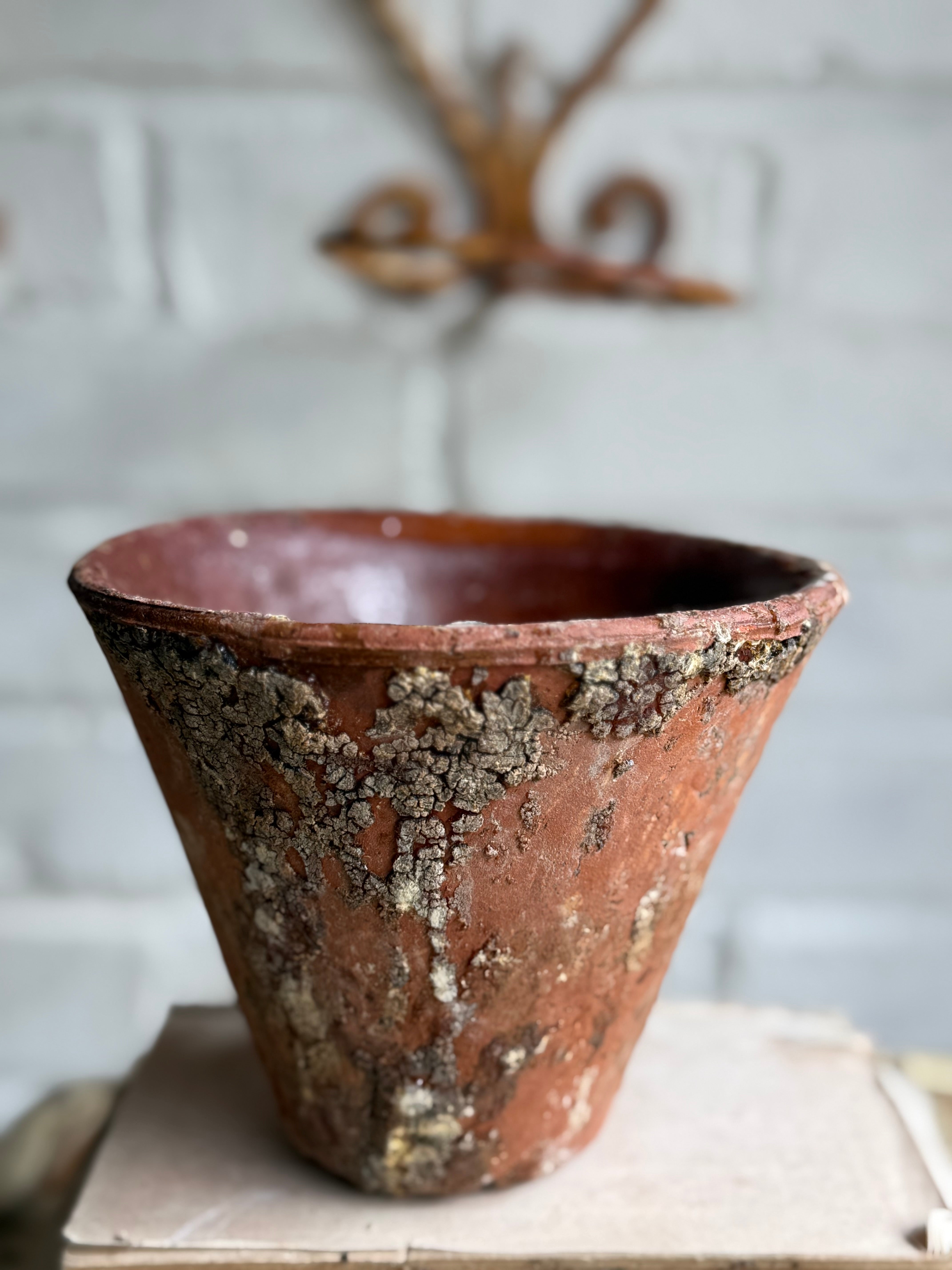 Rustic French Iron Plant Holder with Antique Resin Pot 2