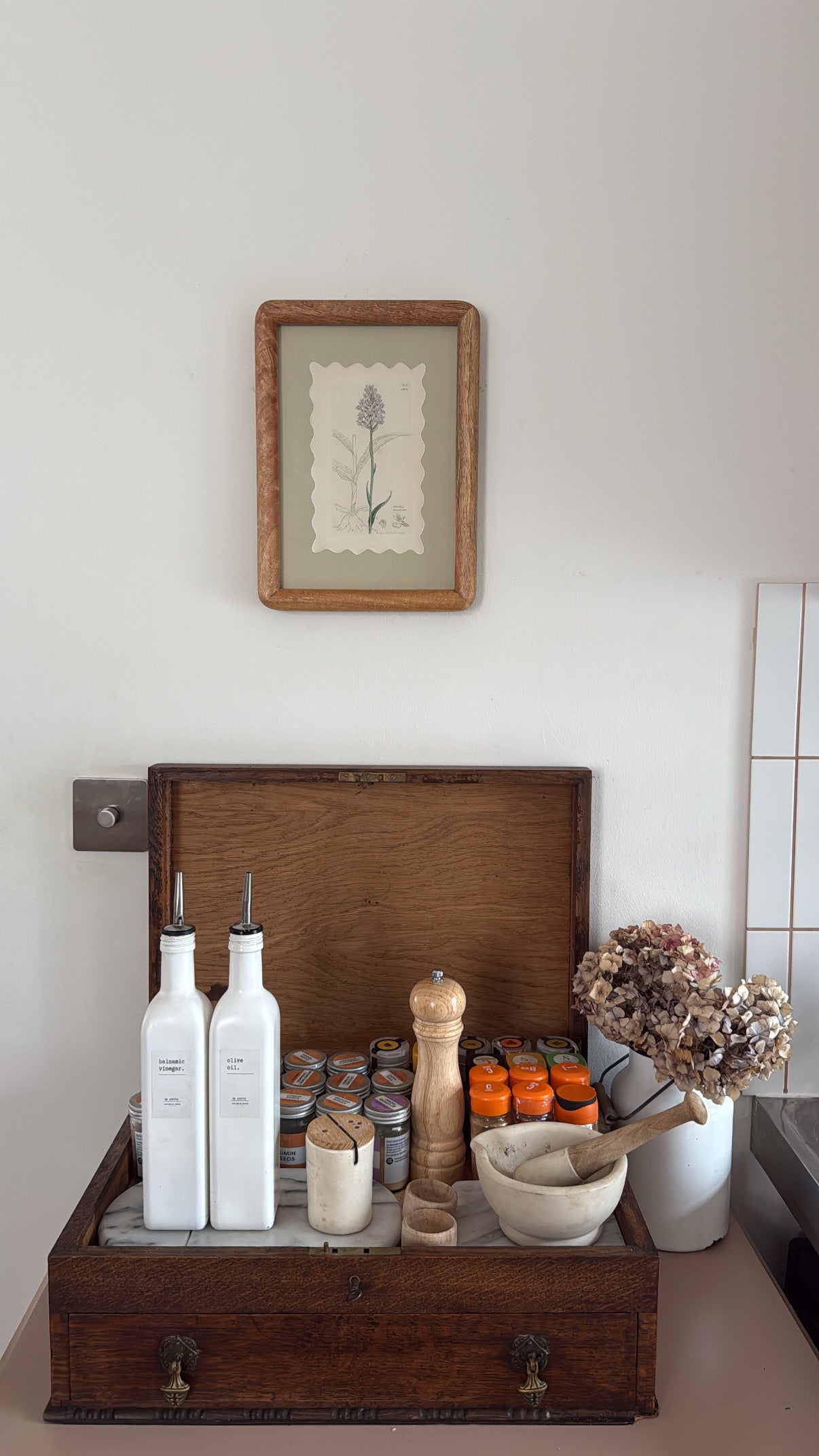 Bespoke Framed 19th Century Coloured Botanical Illustration