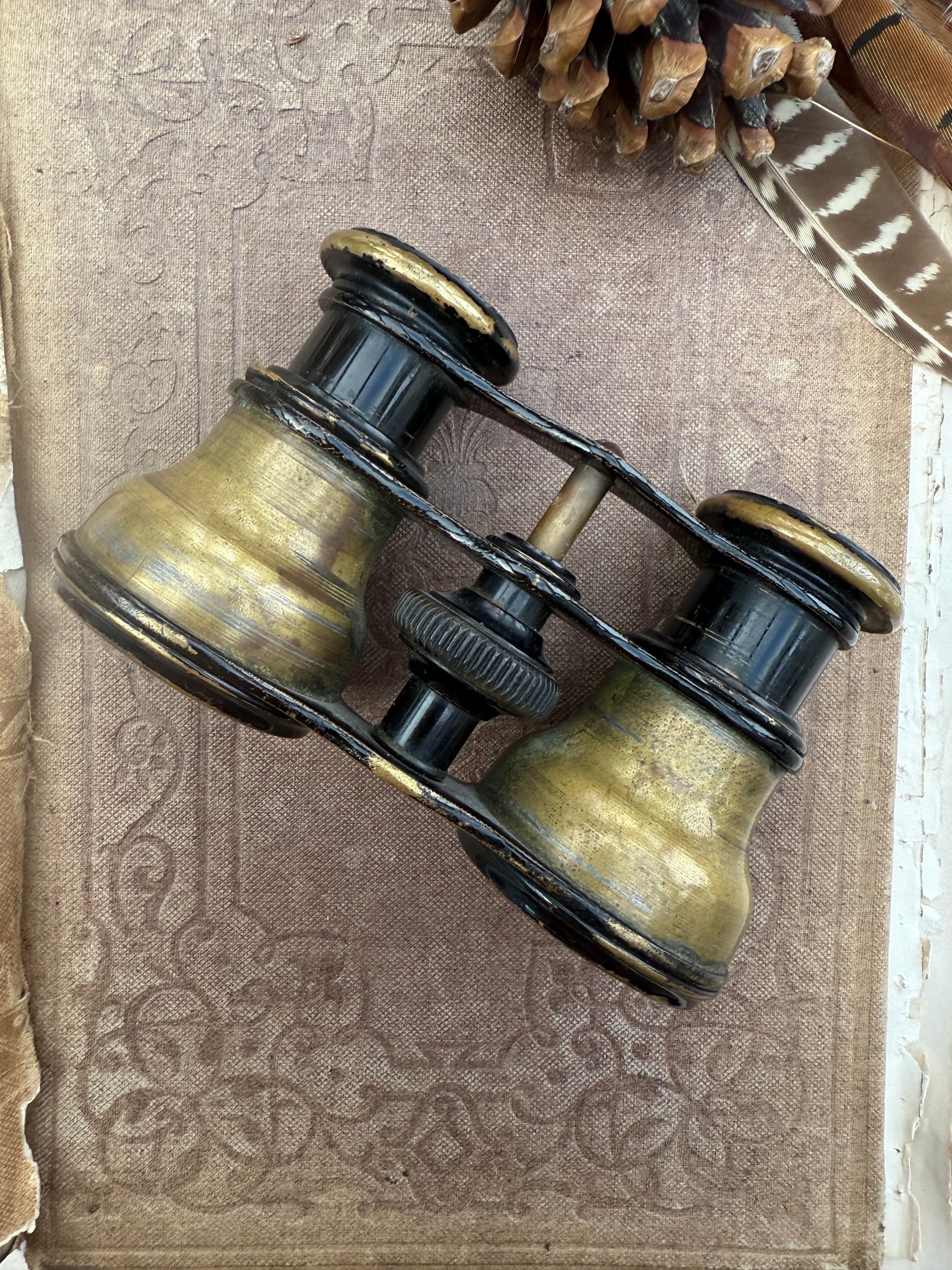 Early 1900s Brass Opera Glasses
