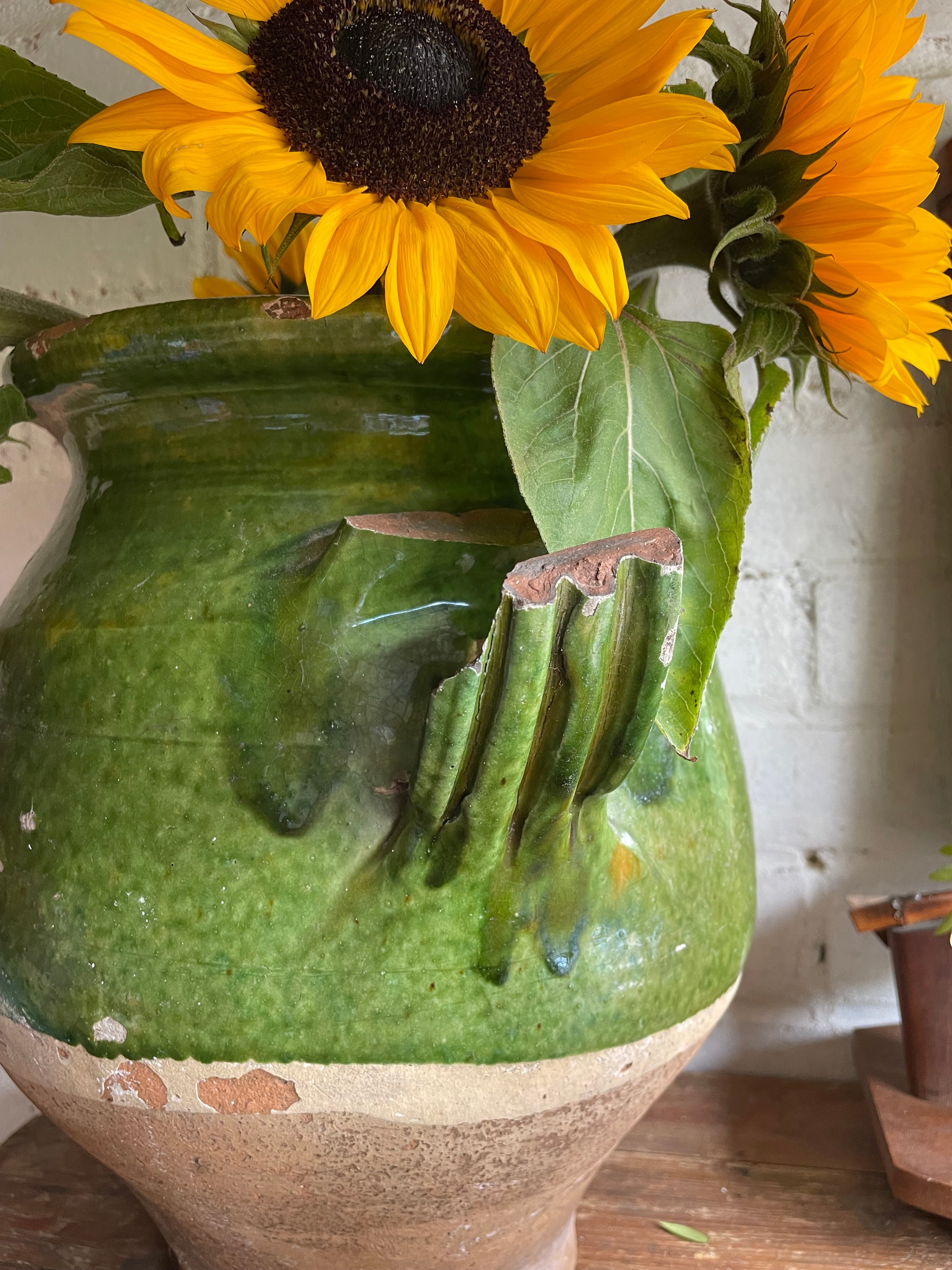 Large 19th Century French Green Confit Pot
