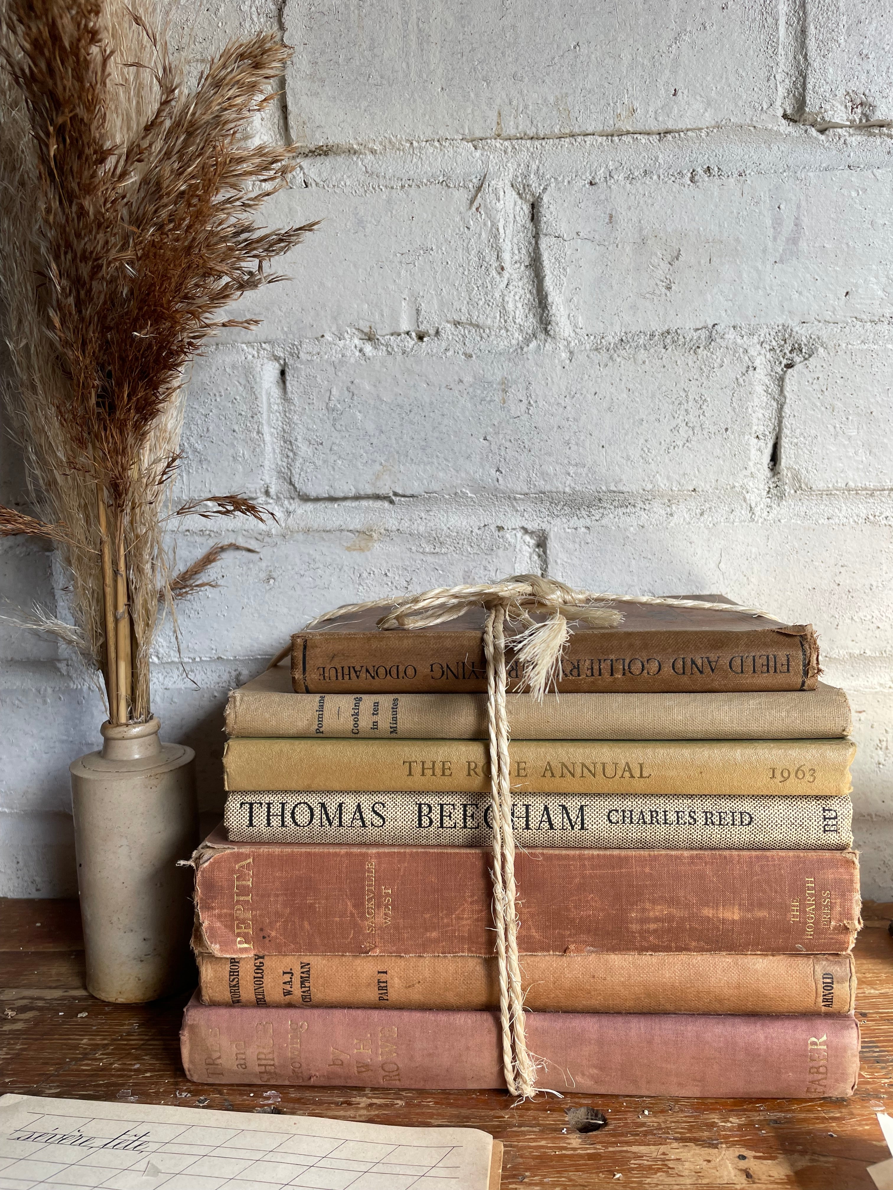 Beige Vintage Book Bundle