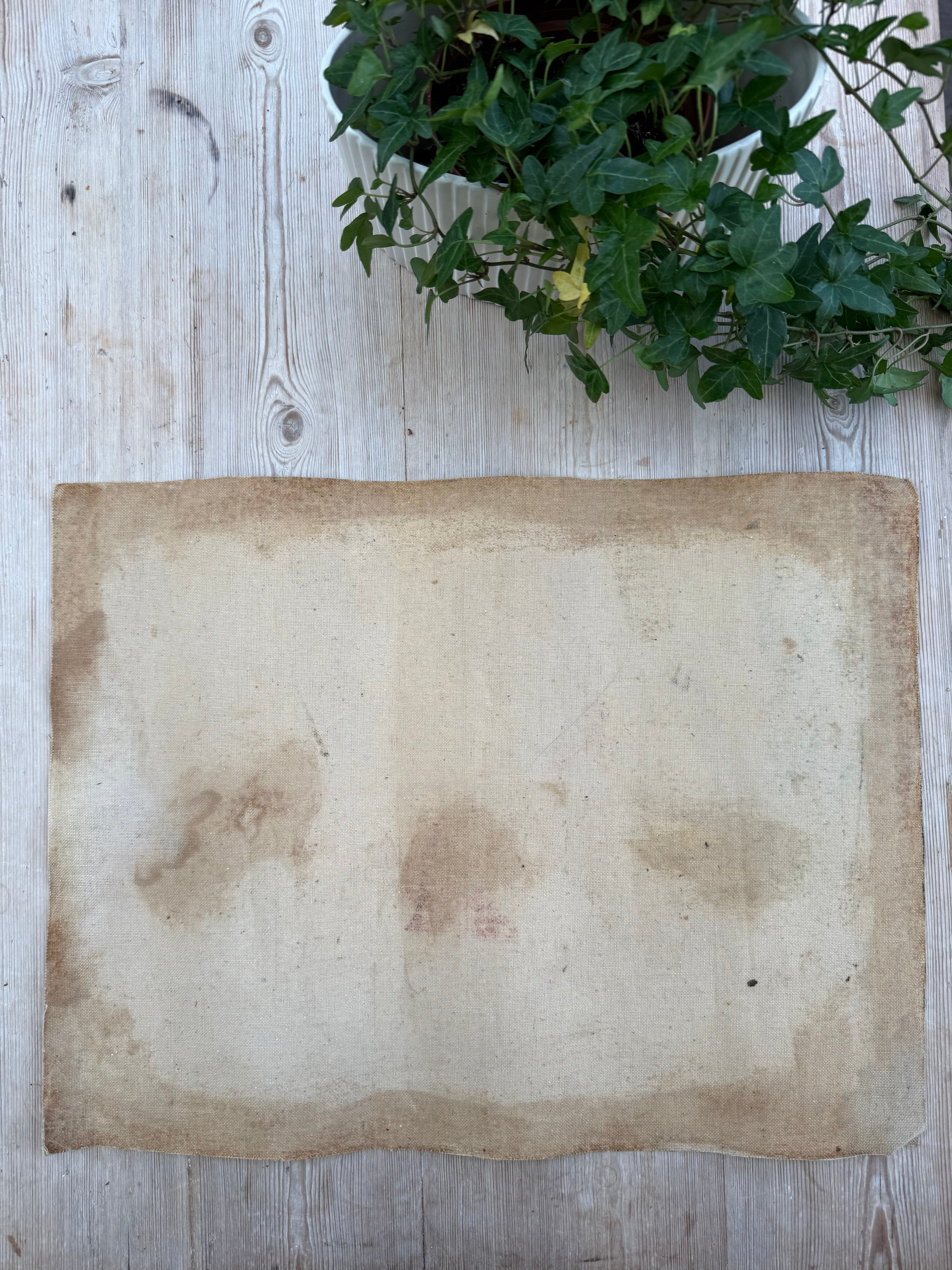 Still Life Oil Painting on Unstretched Canvas