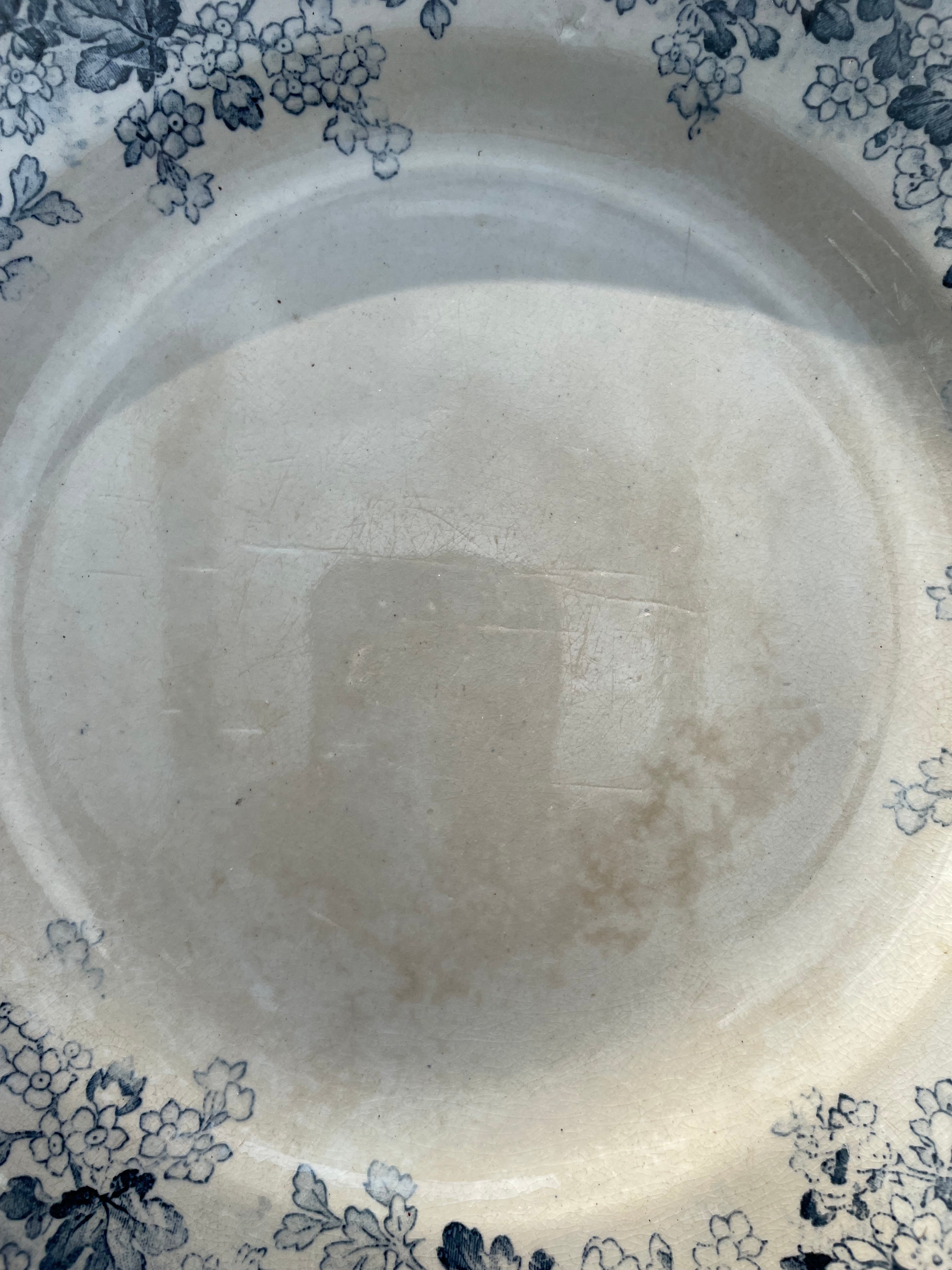Antique French Ironstone Plate