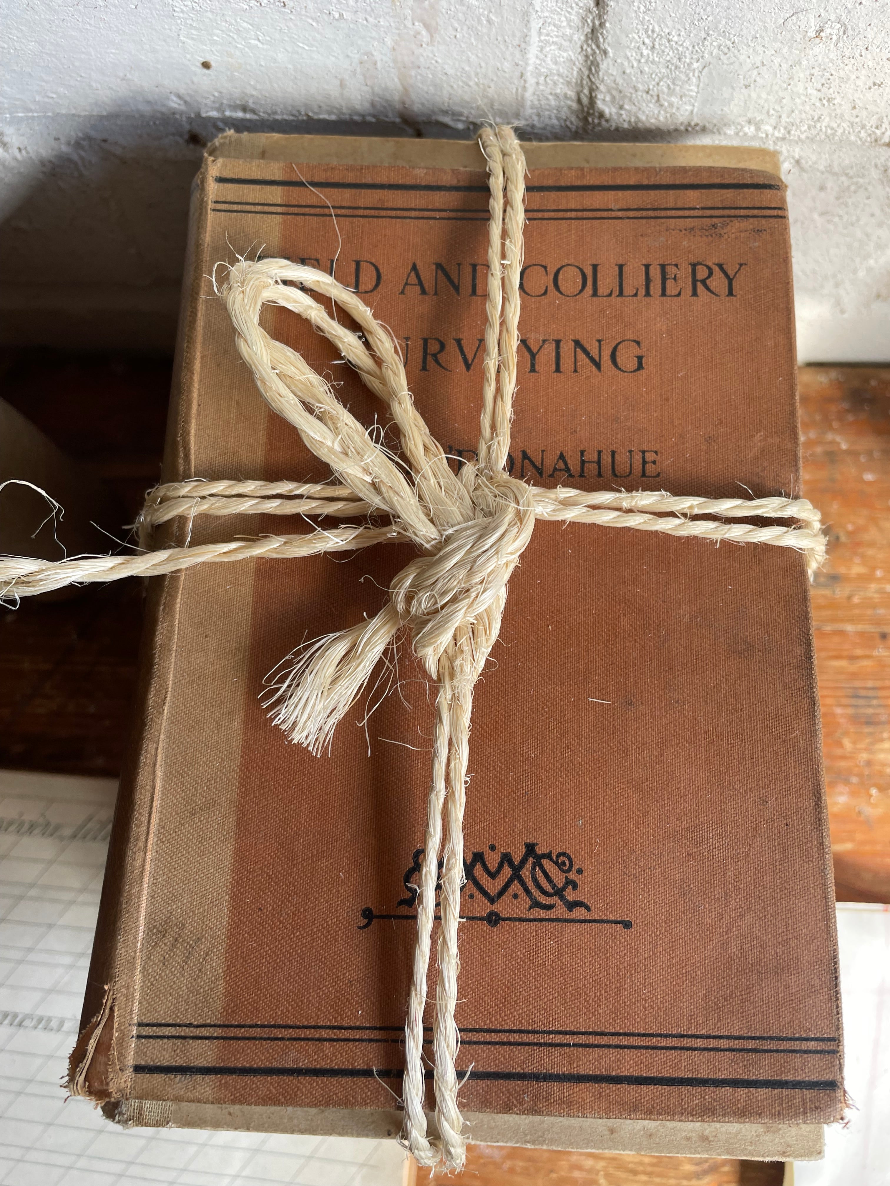 Beige Vintage Book Bundle