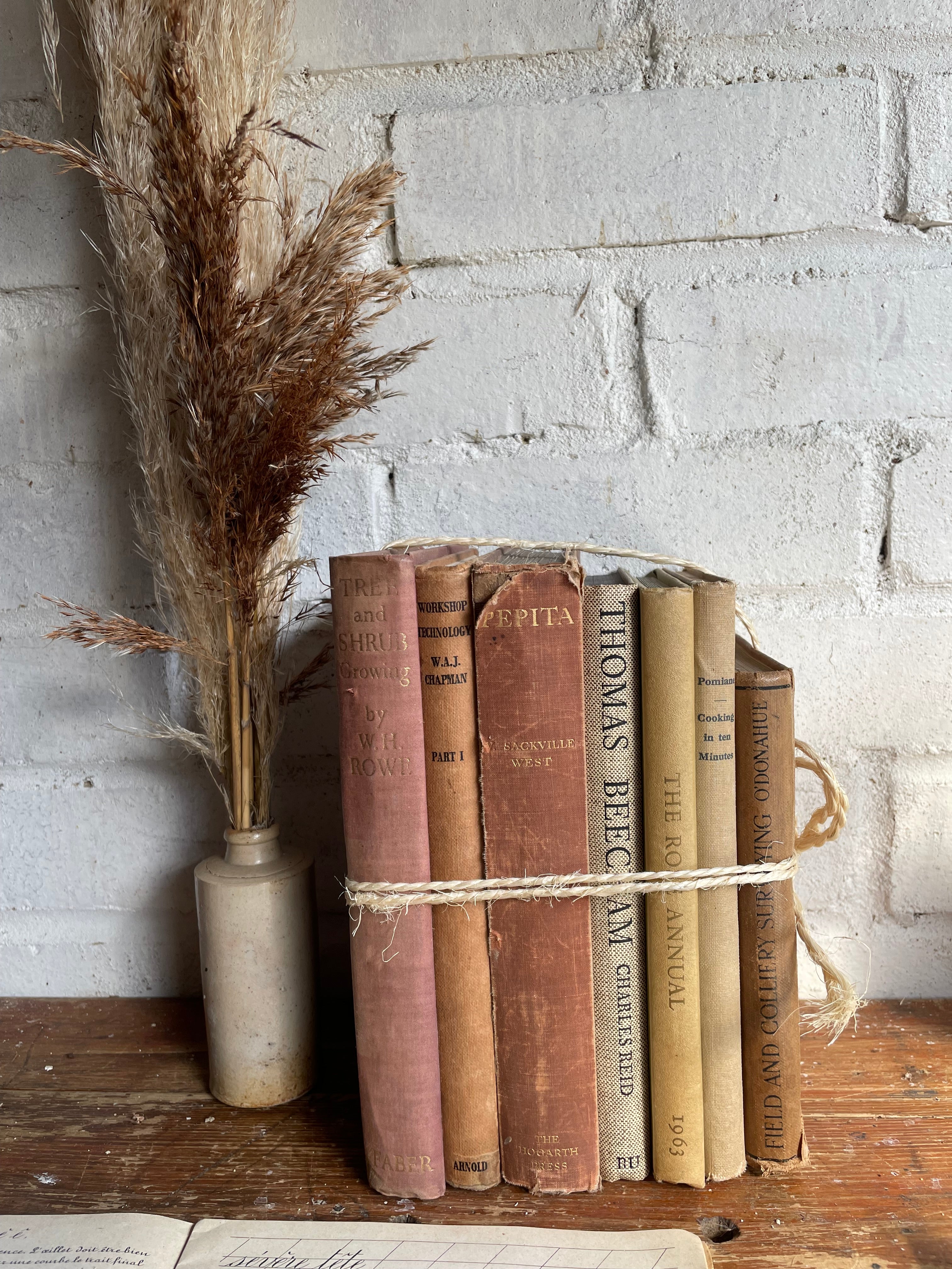 Beige Vintage Book Bundle