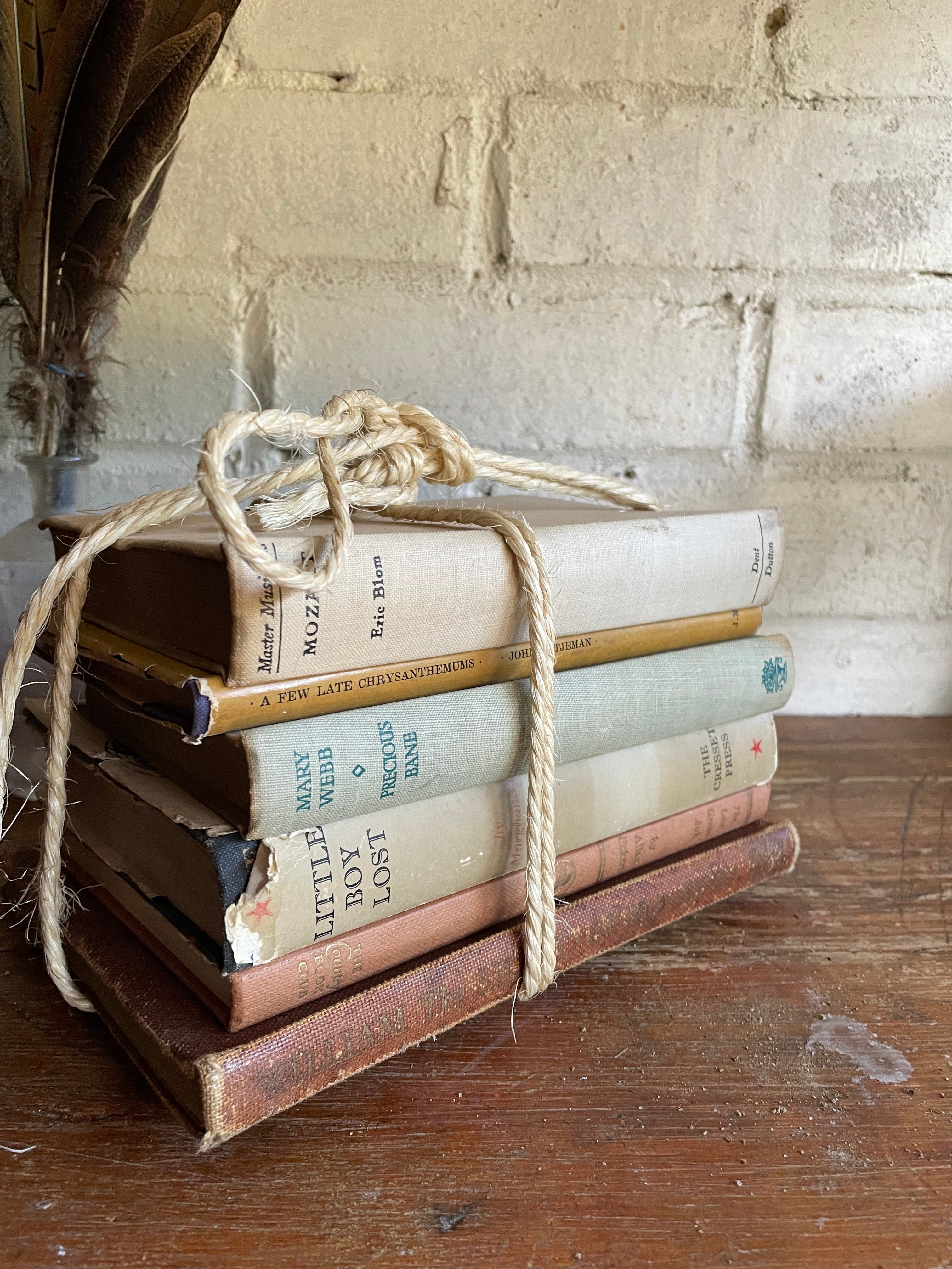 Beige Book Bundle