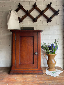 19th Century Victorian Oak Medicine Cabinet with Two Shelves