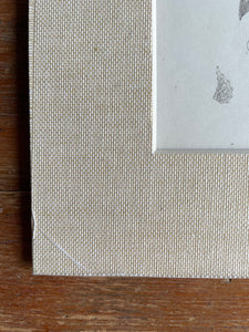 19th Century Botanical Illustration with Linen Mount - 2650