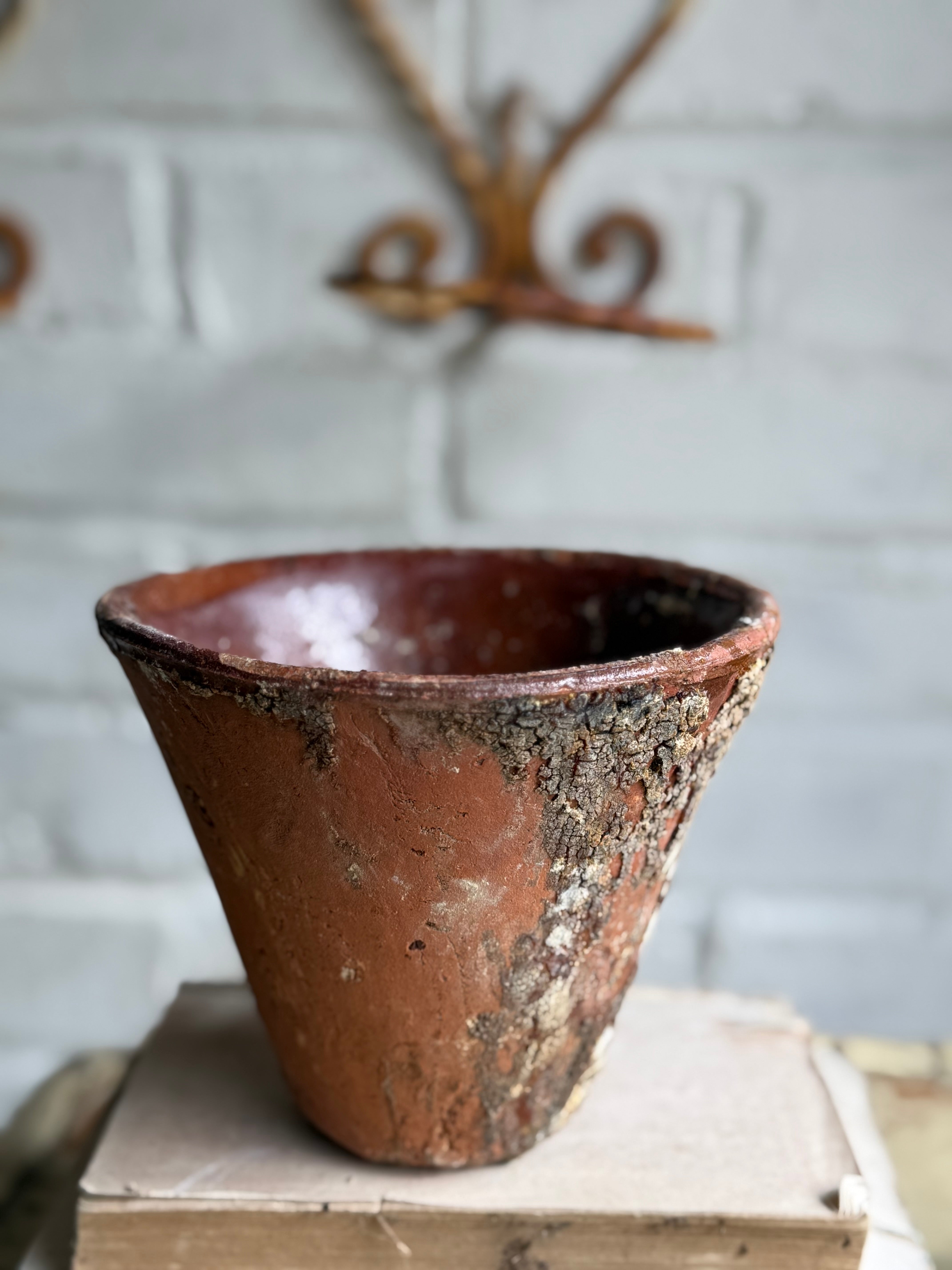 Rustic French Iron Plant Holder with Antique Resin Pot 2