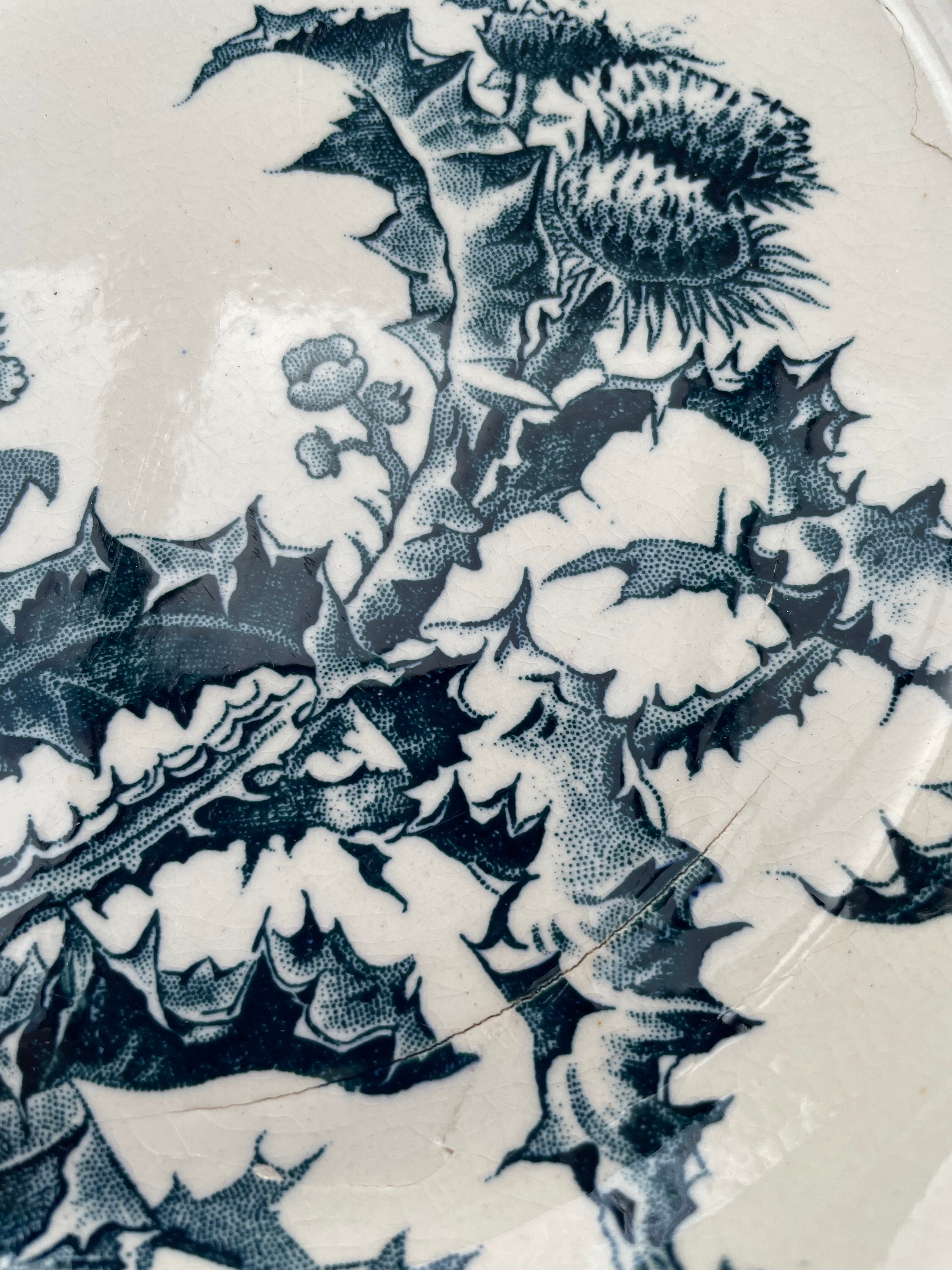 Antique  French "Gien Chardons” Plate