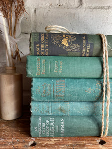 Green Vintage Book Bundle
