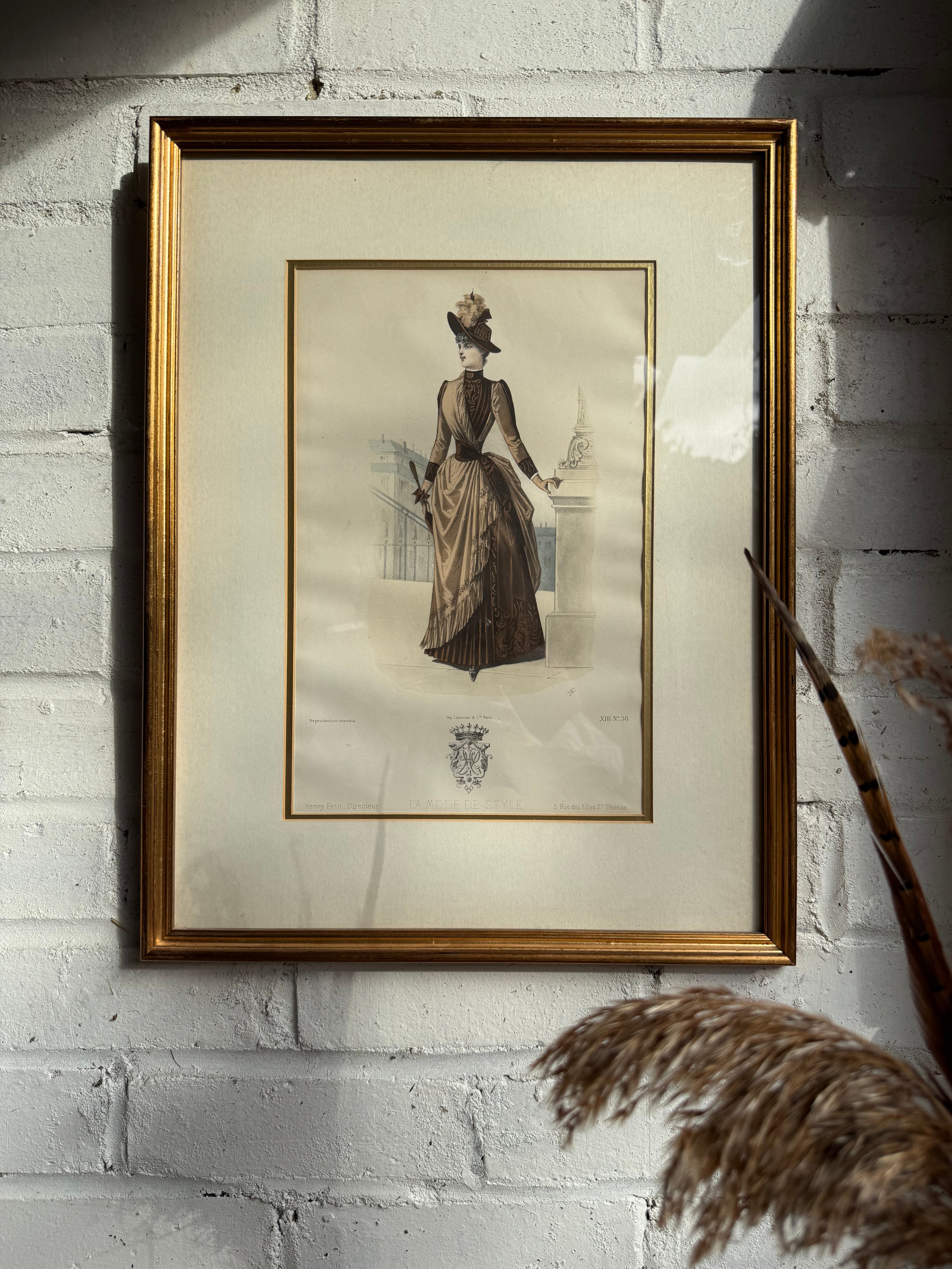 19th Century French Magazine Framed Hand Coloured Illustration - No 38