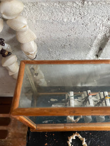 Little Miniature Ship in Glass Box