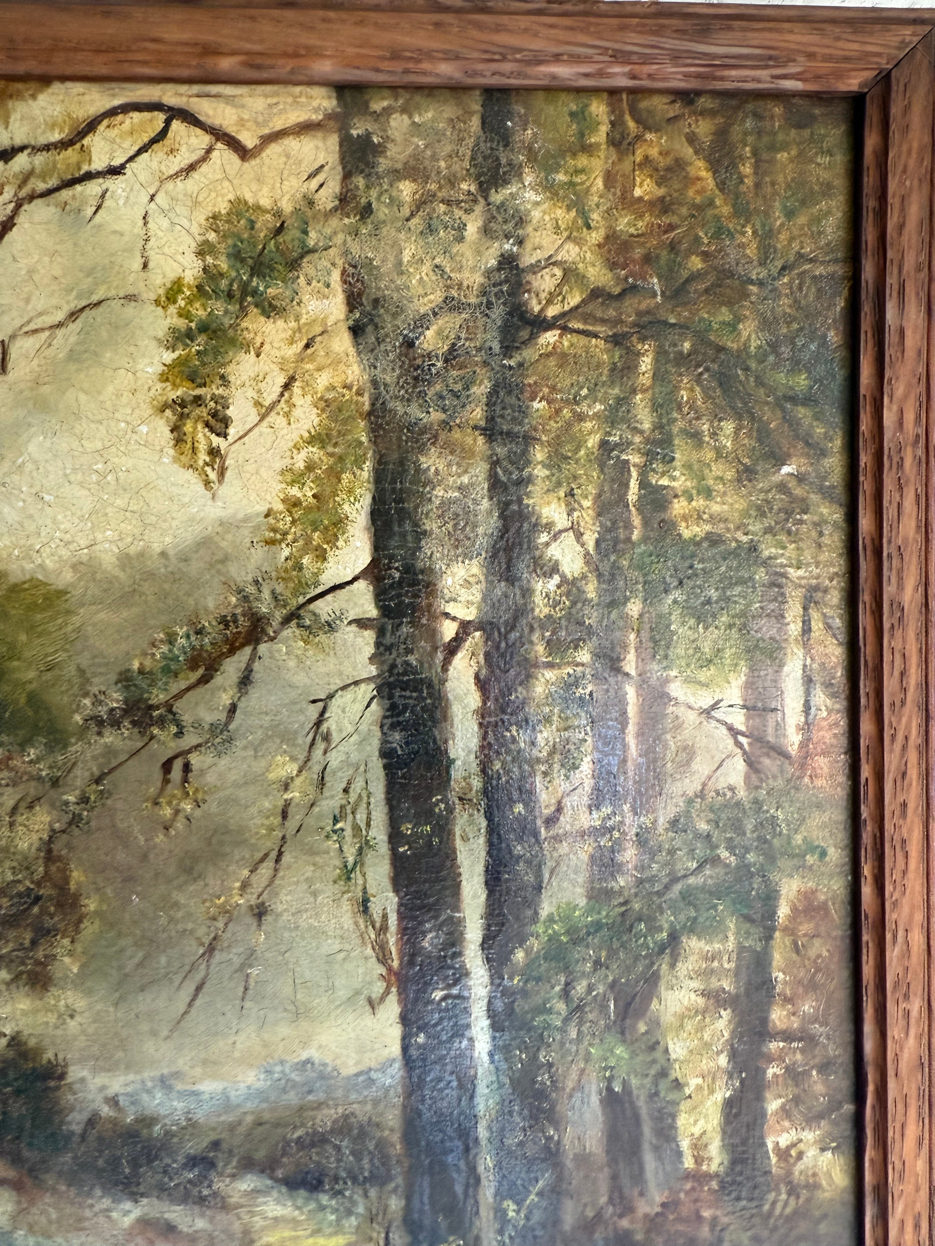 Early 20th Century Oil on Board In Oak Frame: Moody Forest