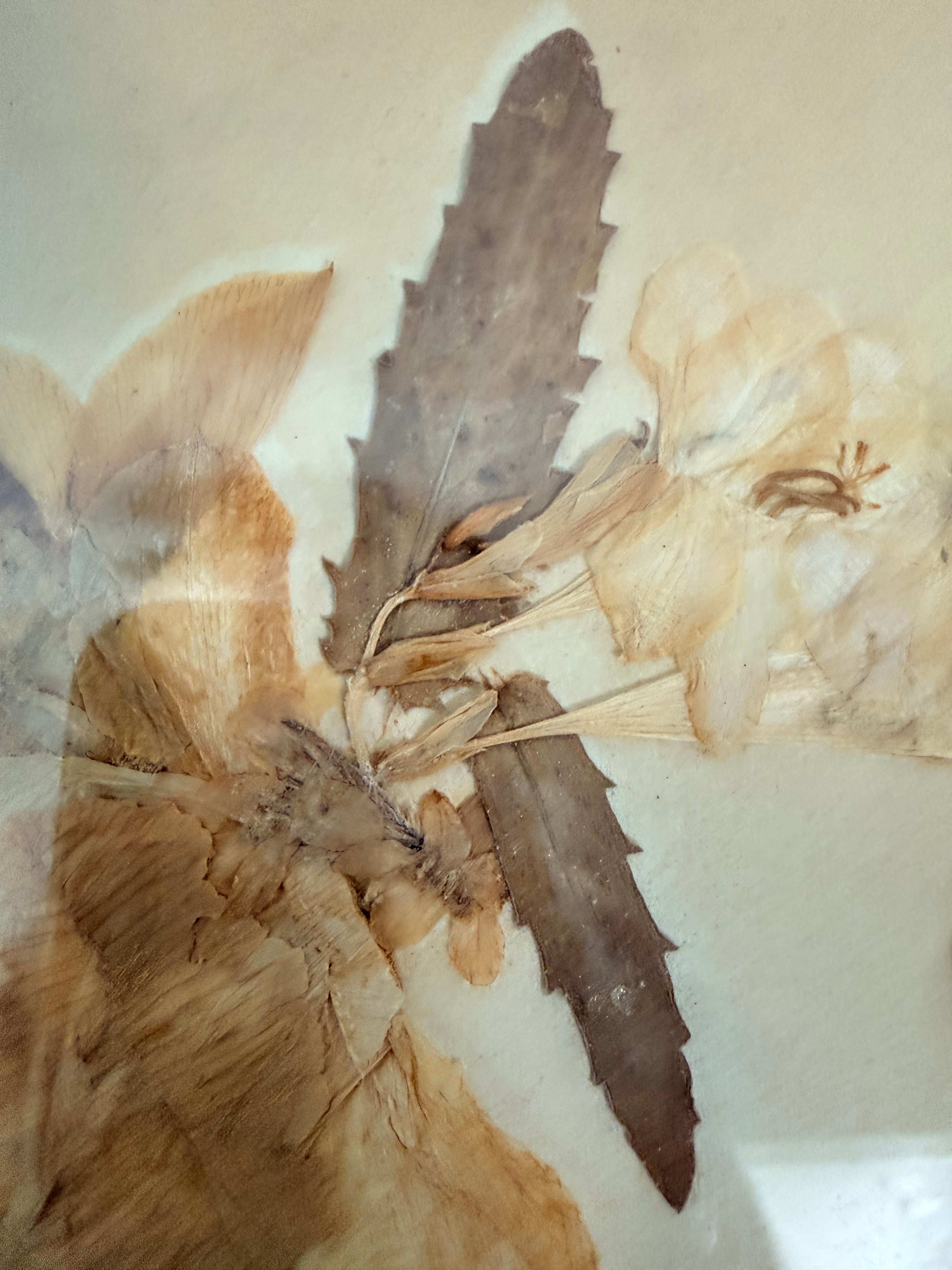 Framed 19th Century Victorian Pressed Flowers – Reclectic