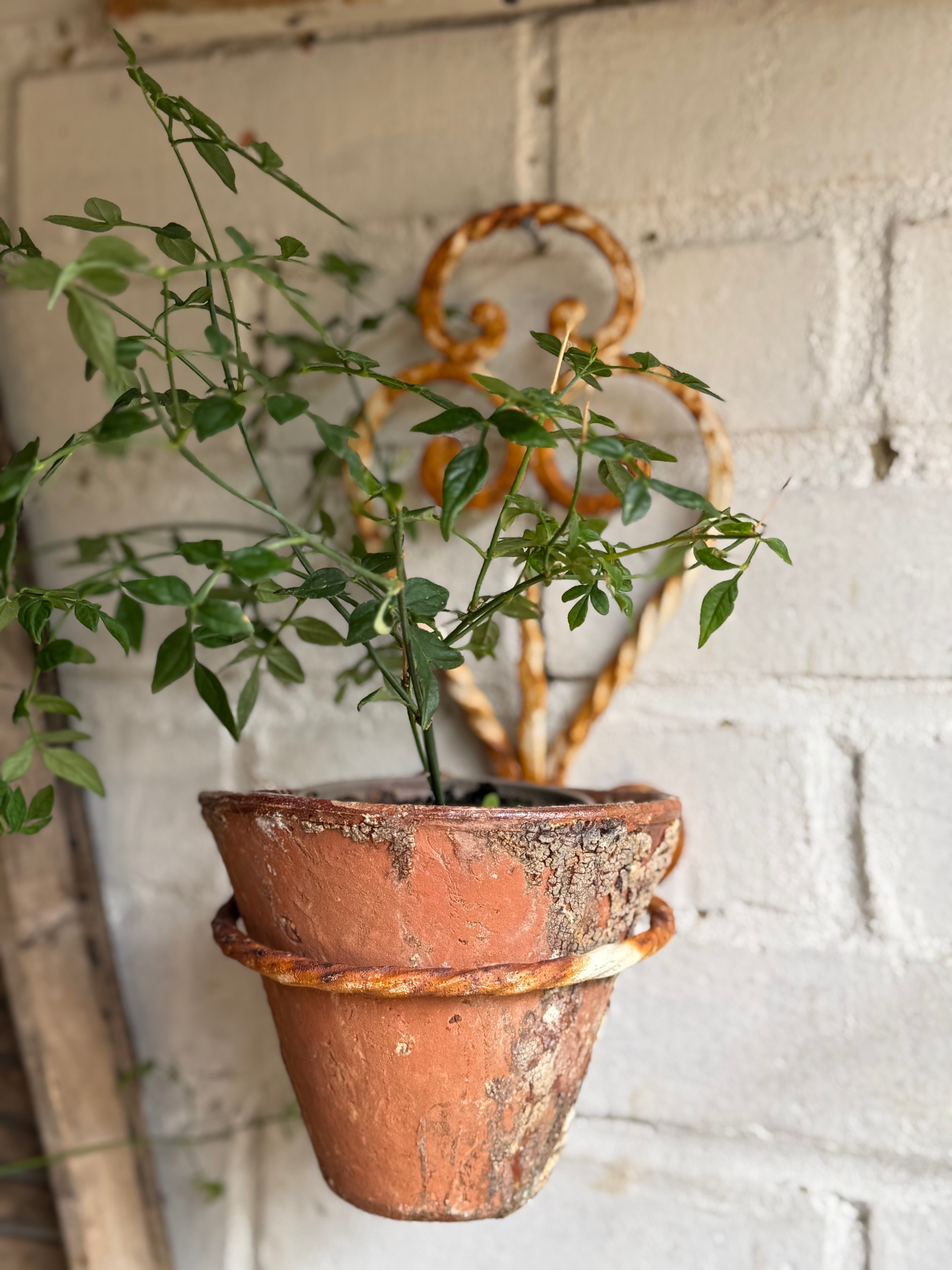 Rustic French Iron Plant Holder with Antique Resin Pot 2