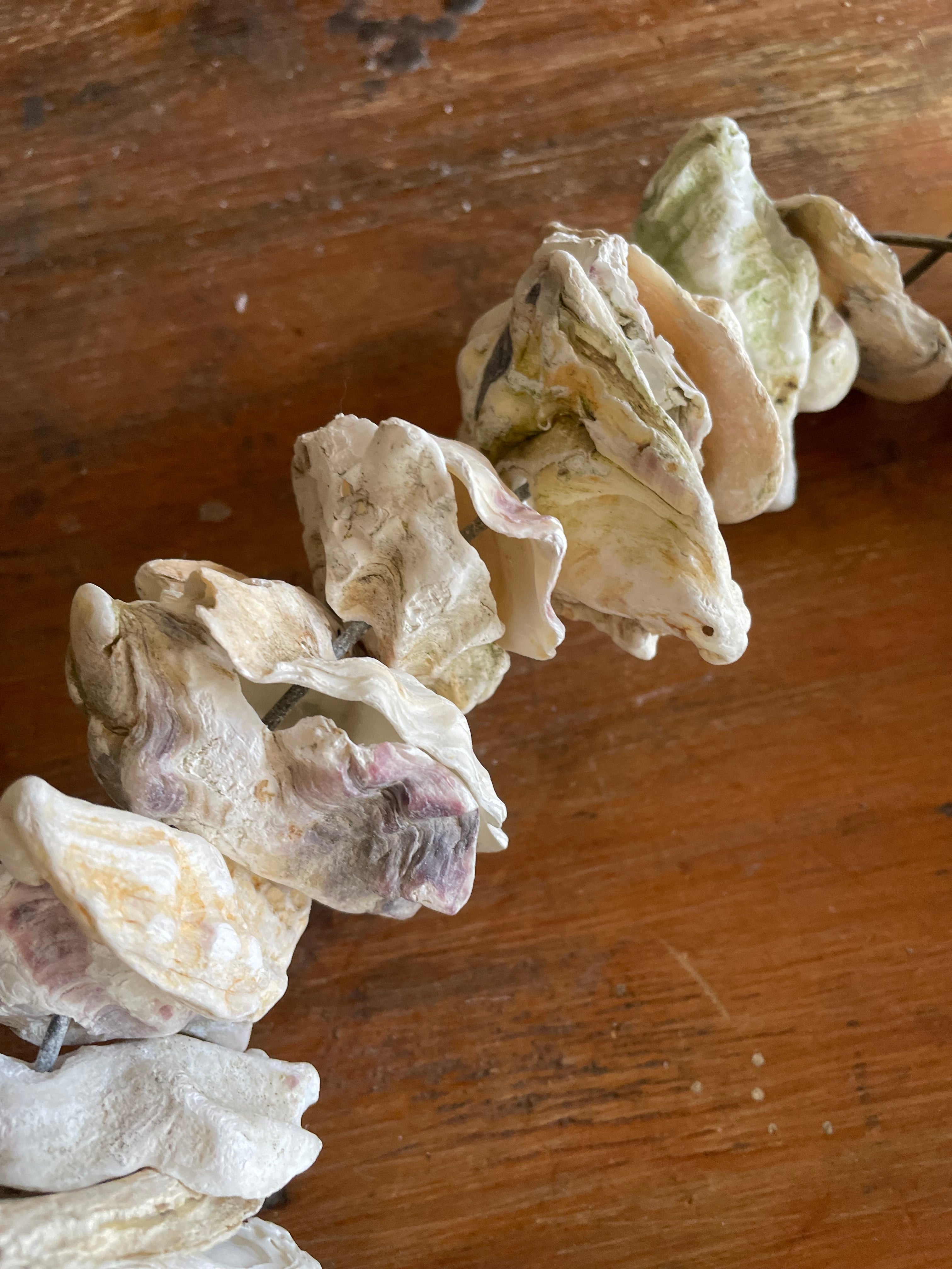 Clam Shells Wreath Wall Hanging 2