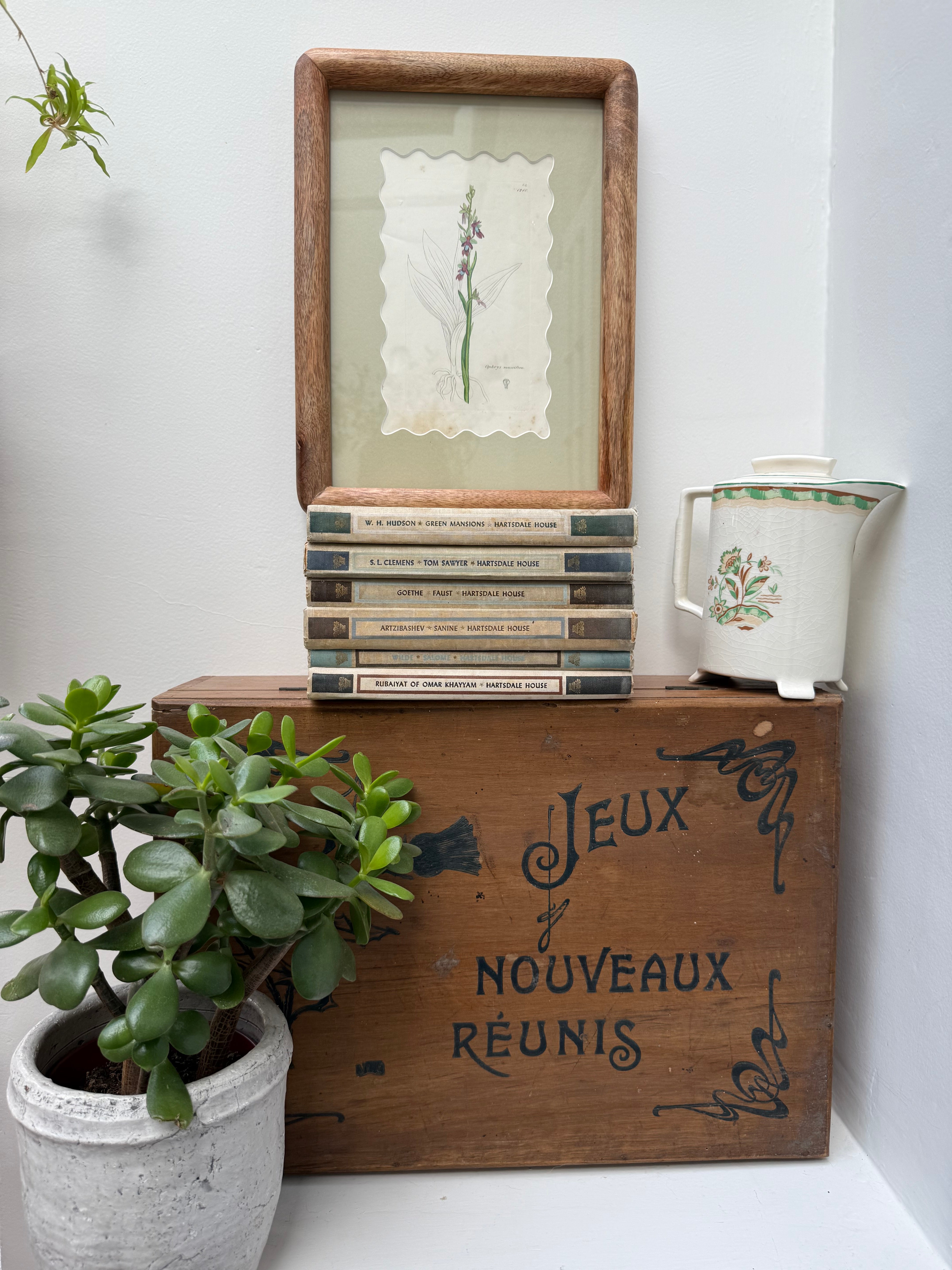 Bespoke Framed 19th Century Coloured Botanical Illustration
