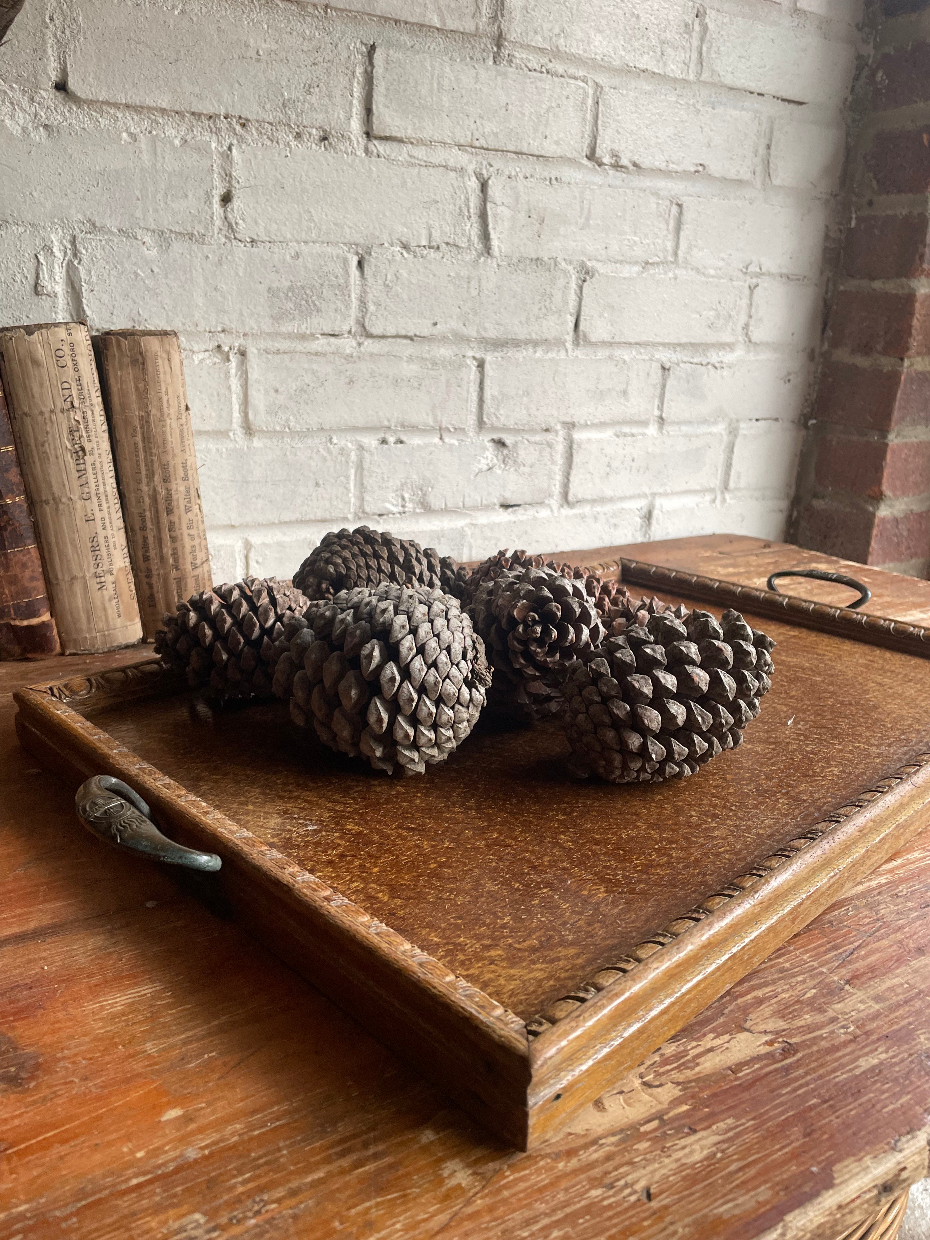 Edwardian Wood Tray with Iron Handles & Carved Decorative Detail