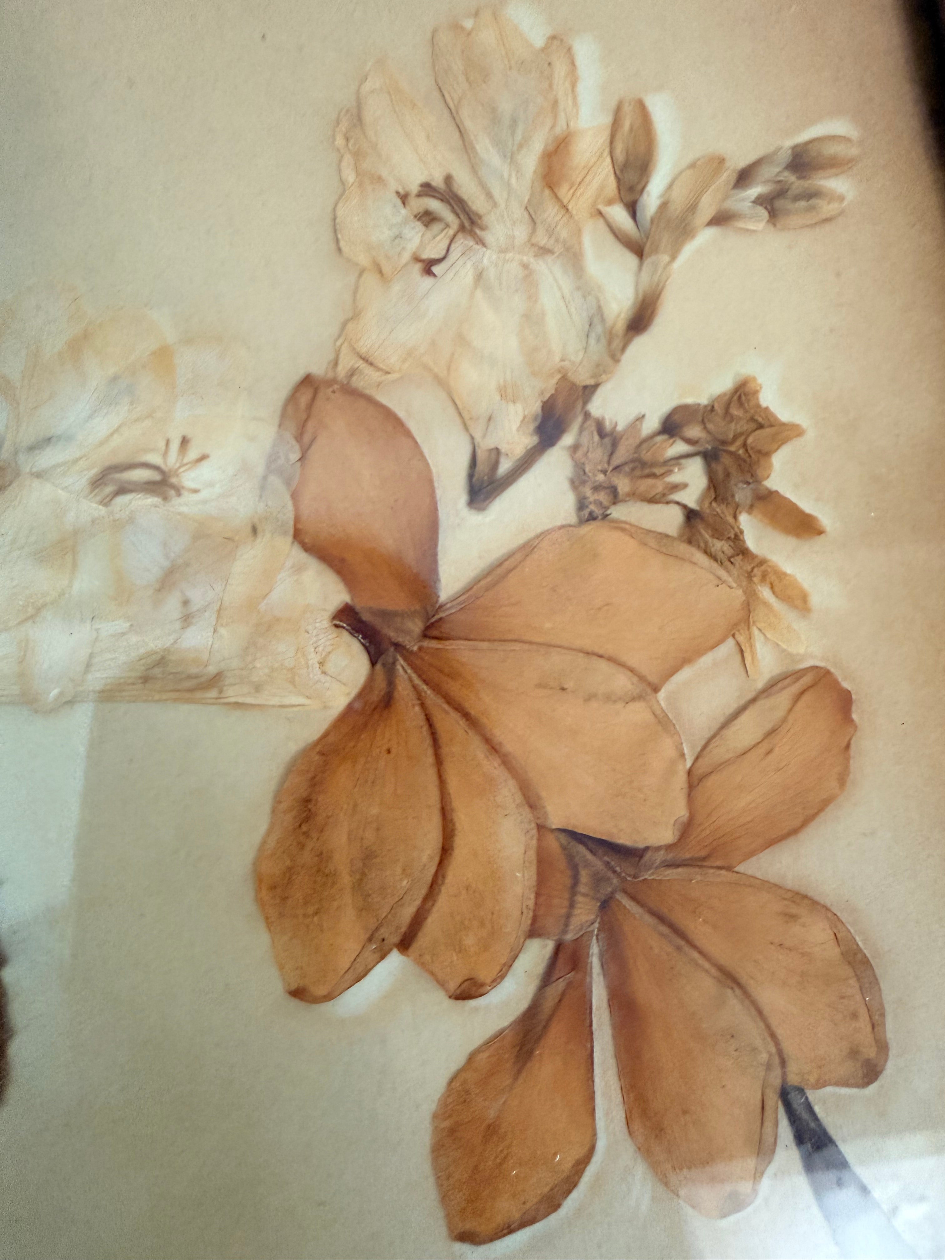 Framed 19th Century Victorian Pressed Flowers – Reclectic