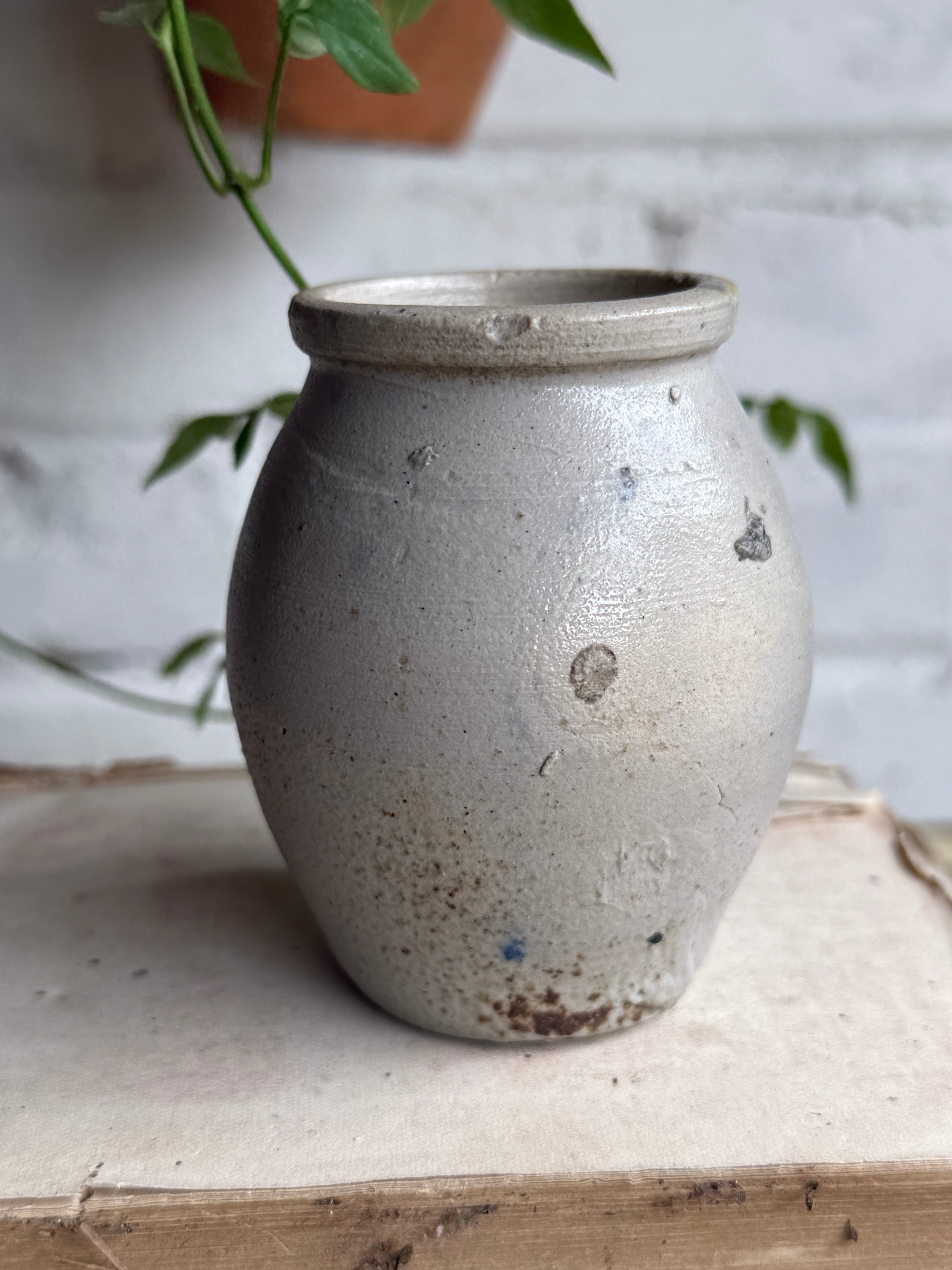 Small Antique Belgian Stoneware Mustard Pot