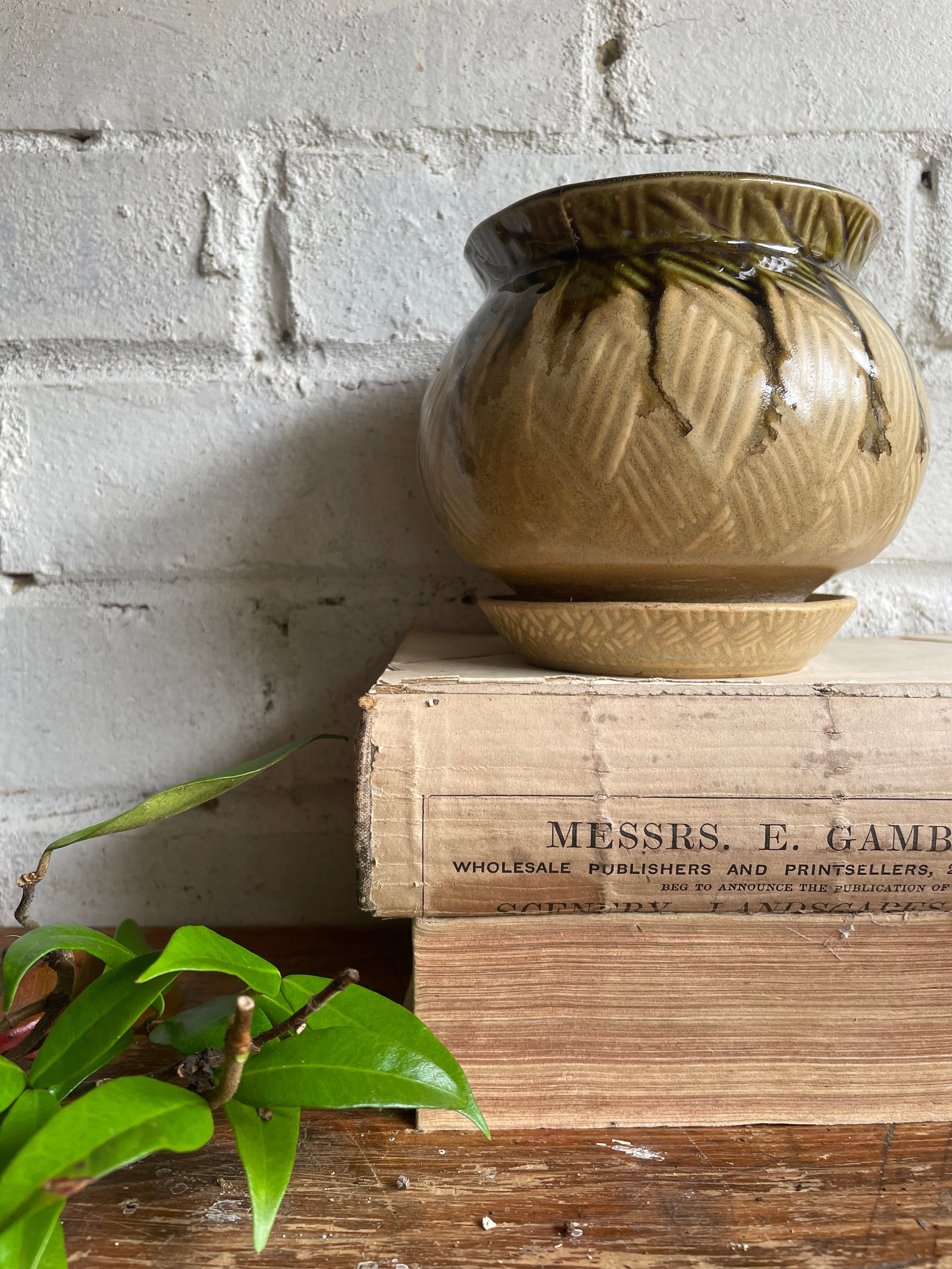 Edwardian Plant Pot with Drainage Saucer