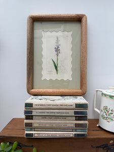 Bespoke Framed 19th Century Coloured Botanical Illustration