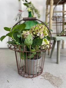 Ironwork Basket | Medium