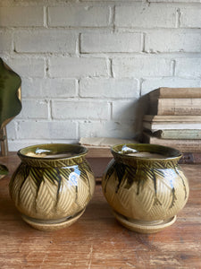 Edwardian Plant Pot with Drainage Saucer