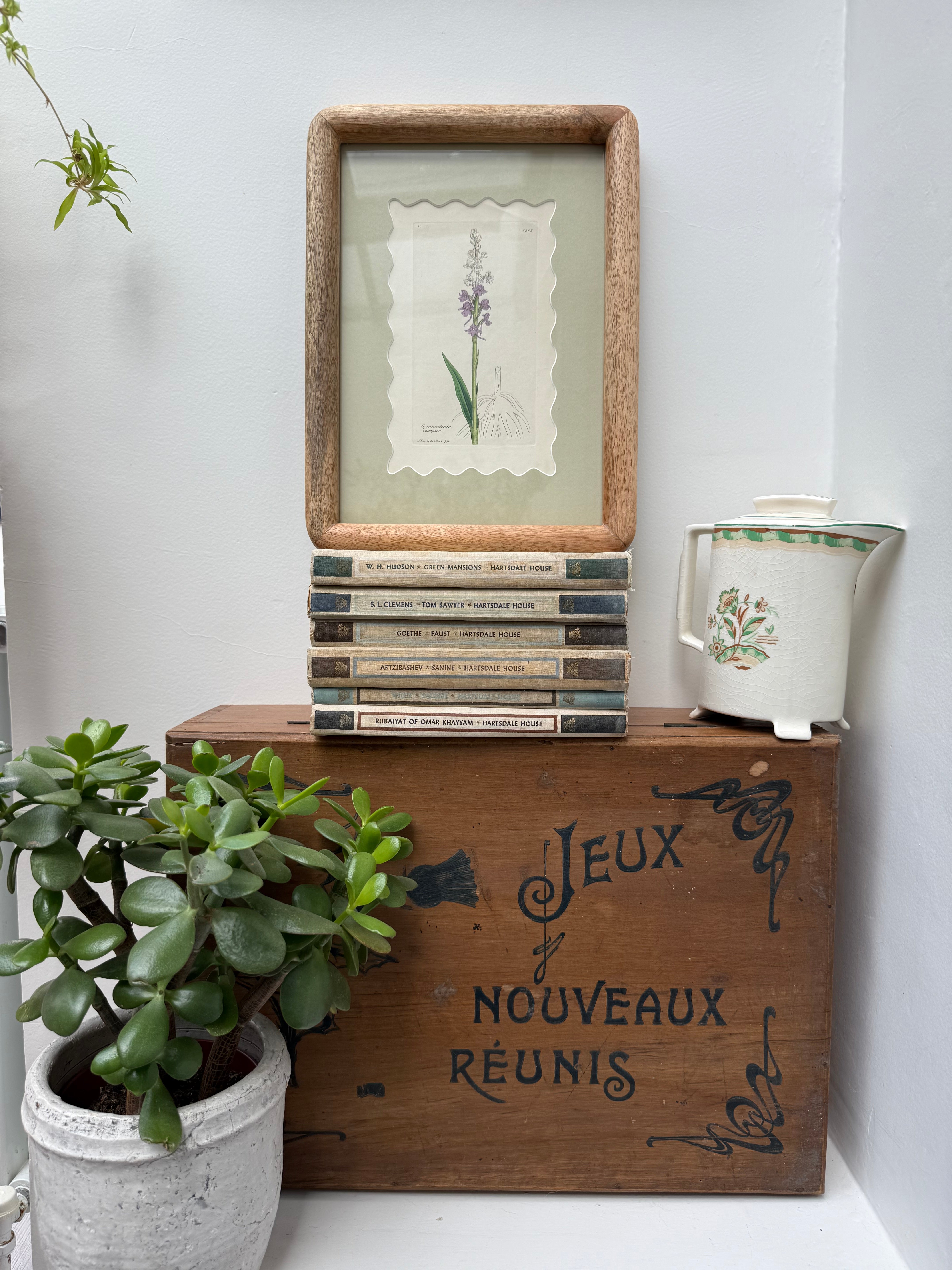 Bespoke Framed 19th Century Coloured Botanical Illustration