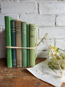 Vintage Green Book Bundle
