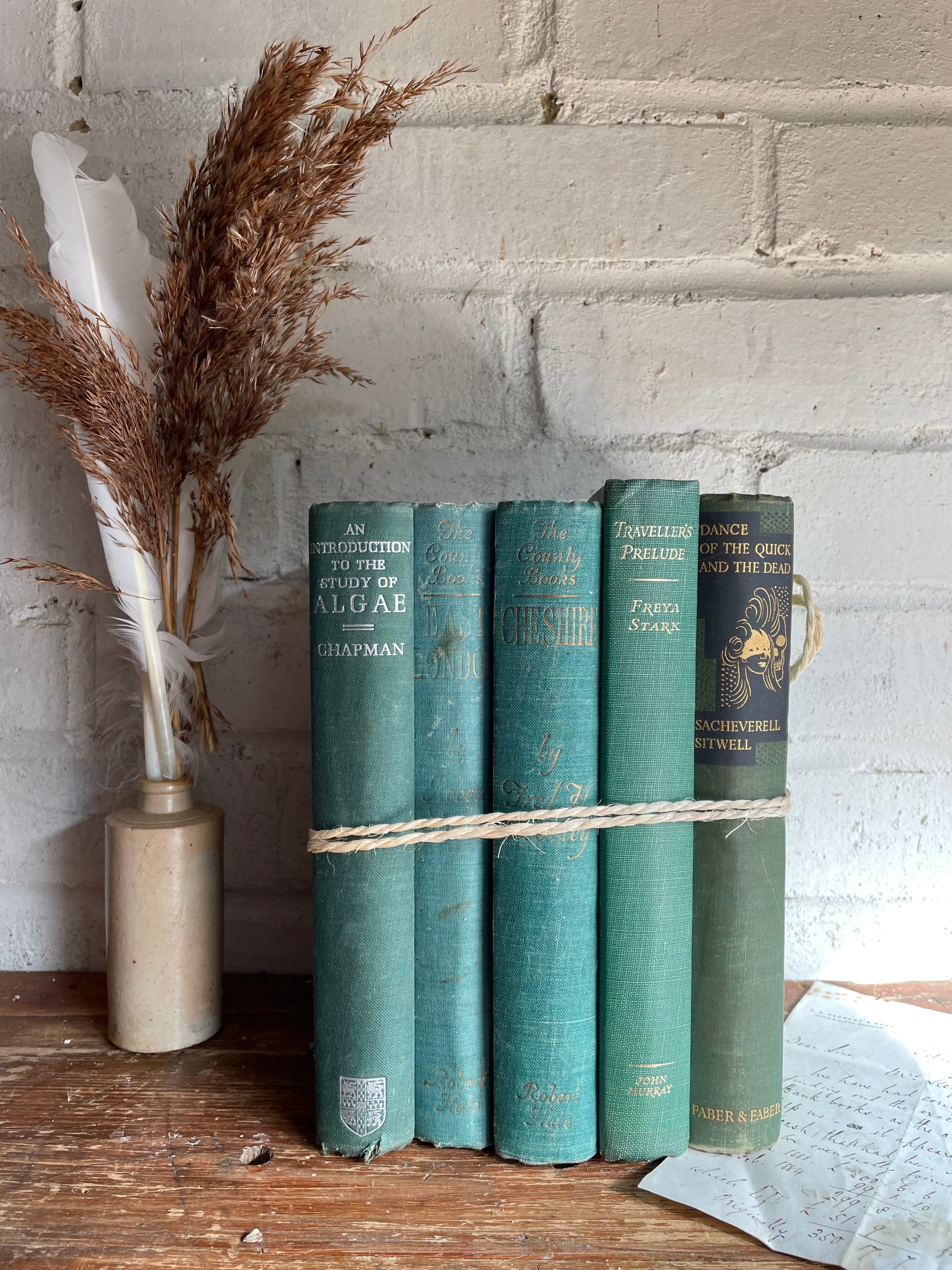 Green Vintage Book Bundle
