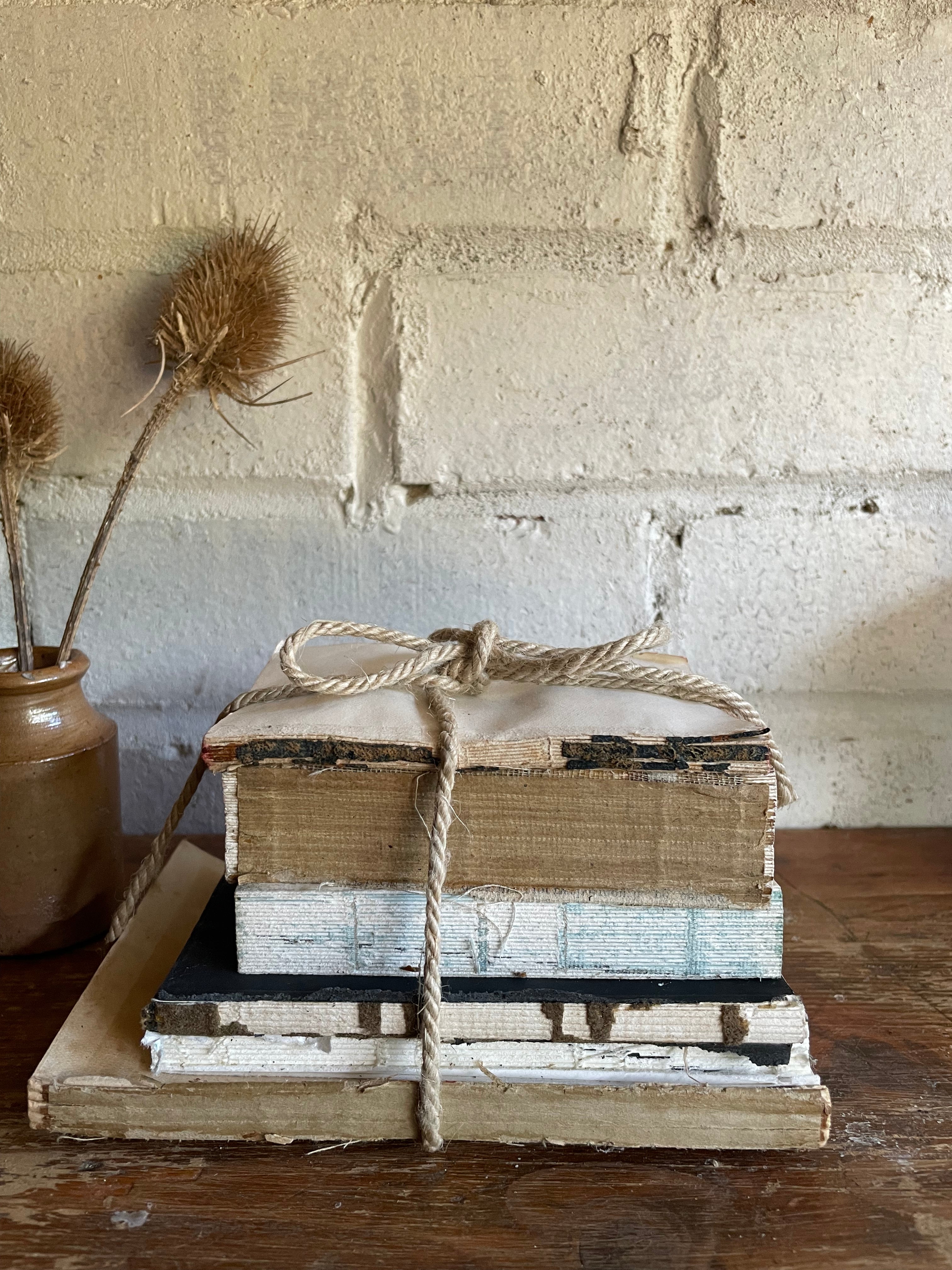 Teeny Beige Book Bundle