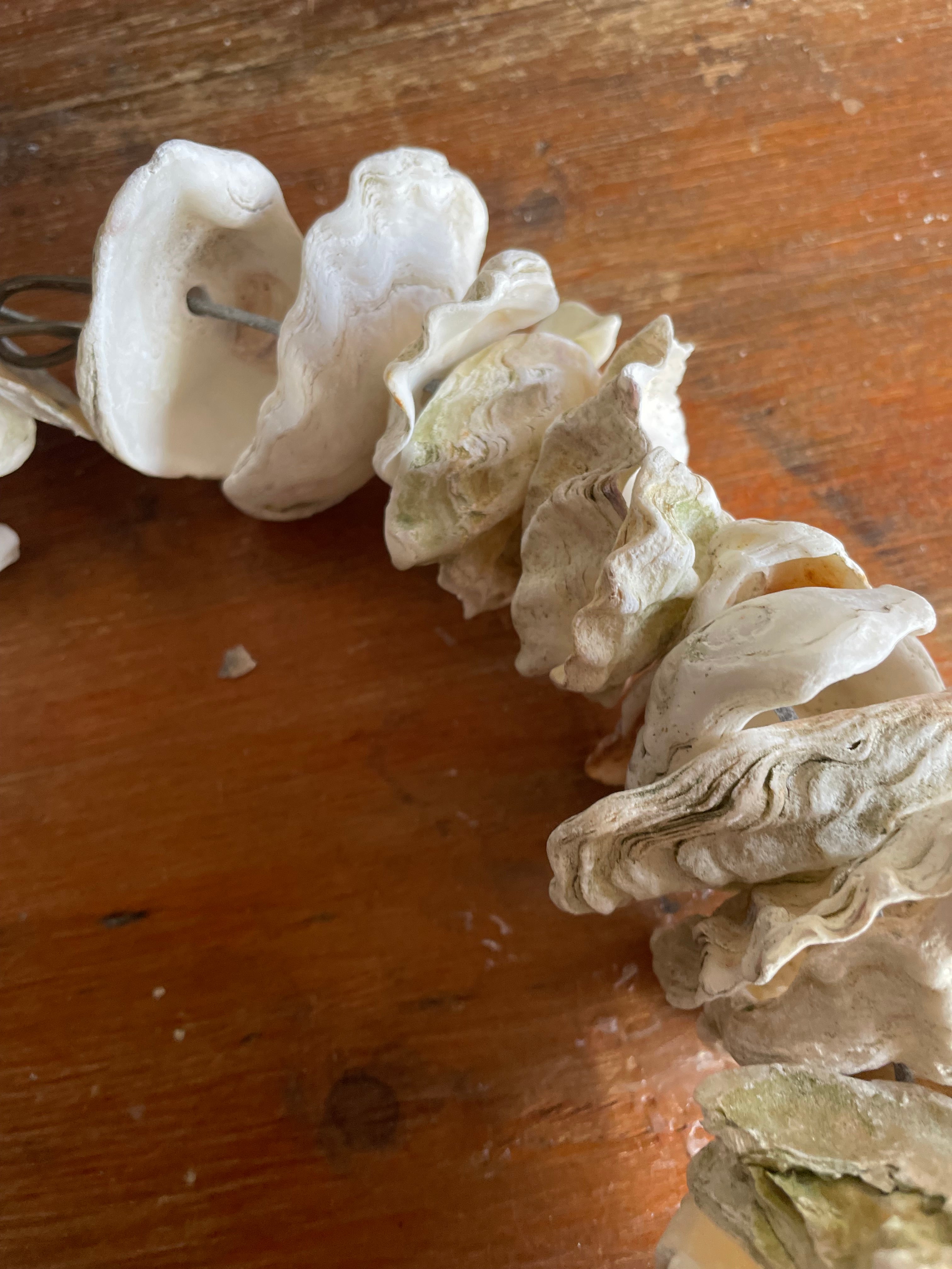 Clam Shells Wreath Wall Hanging 2