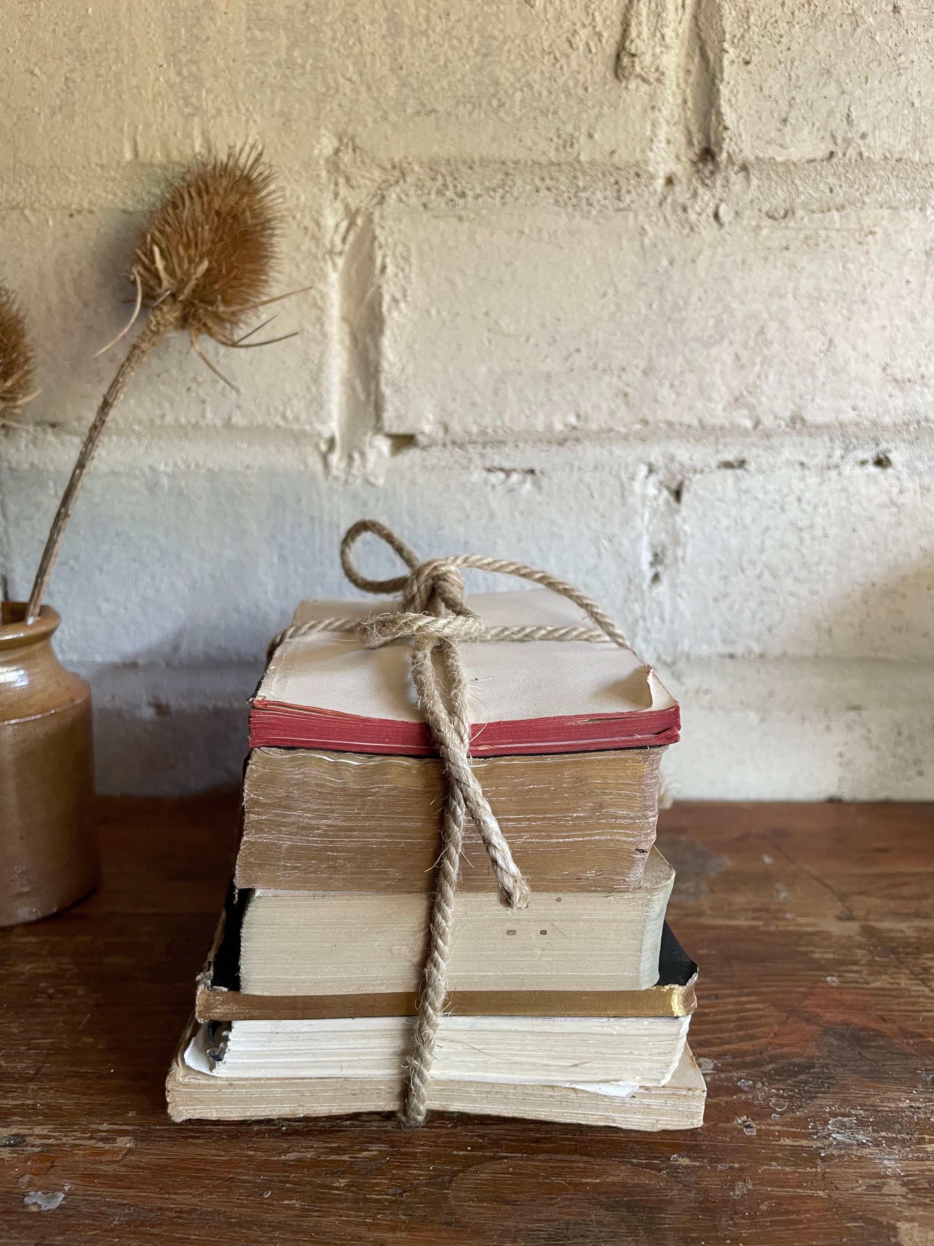 Teeny Beige Book Bundle