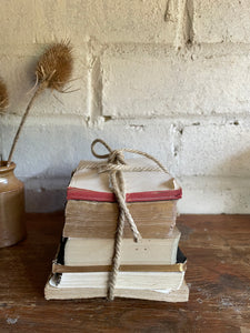 Teeny Beige Book Bundle