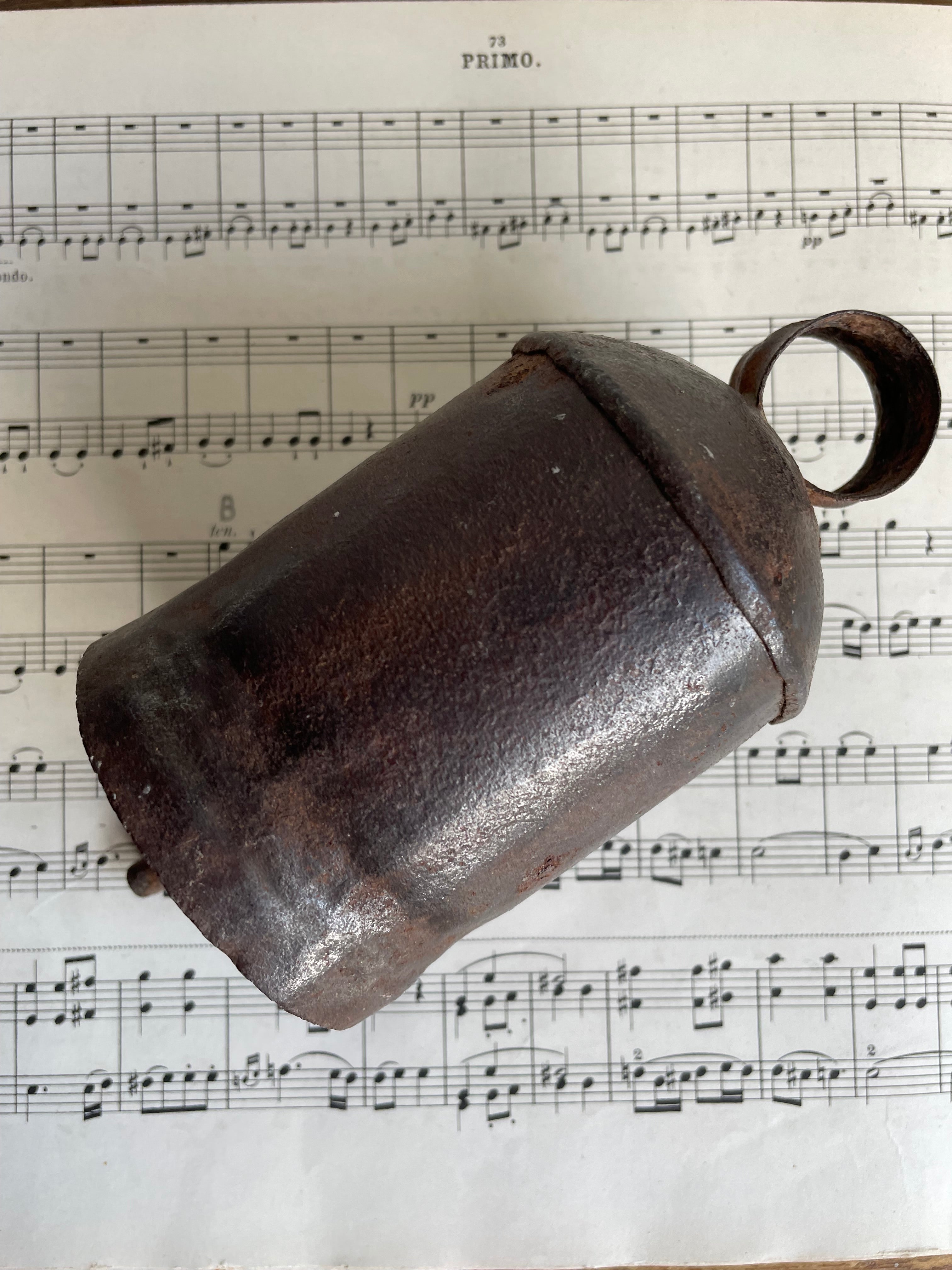 Old Iron Cow Bell