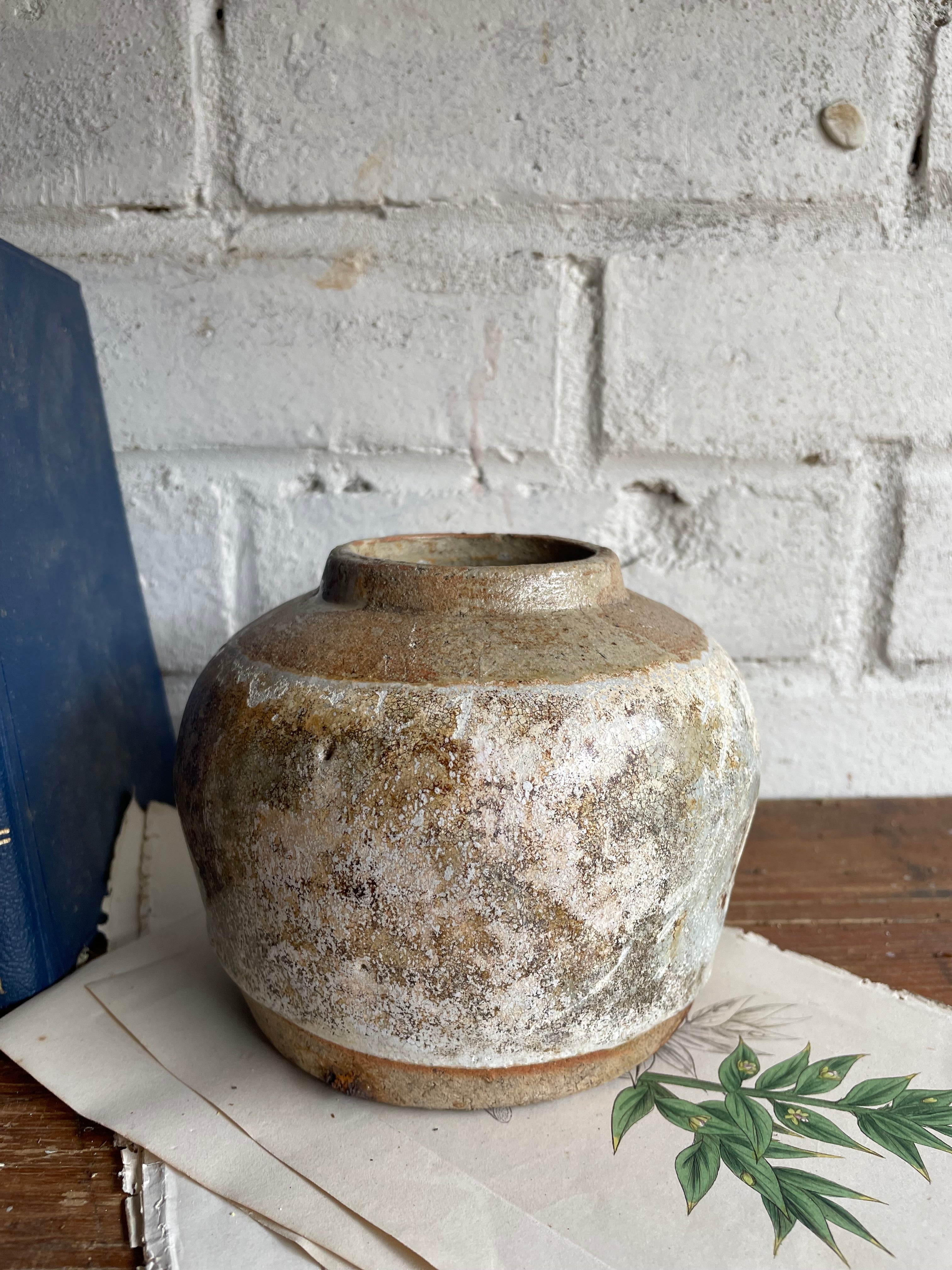 Speckled 19th Century Ginger Jar