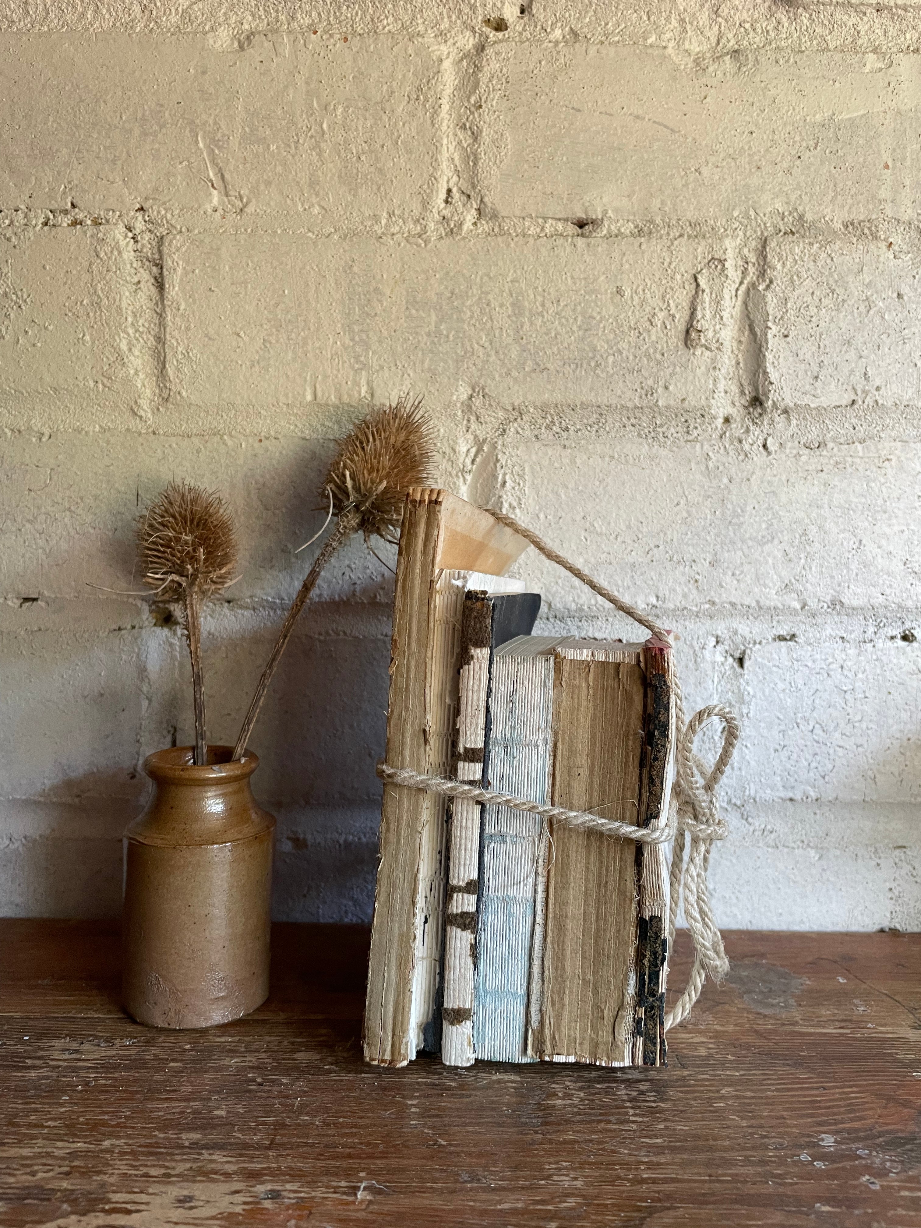 Teeny Beige Book Bundle