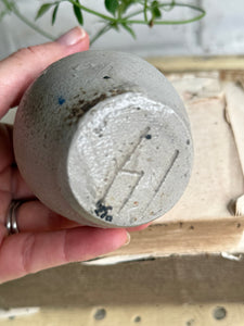 Small Antique Belgian Stoneware Mustard Pot
