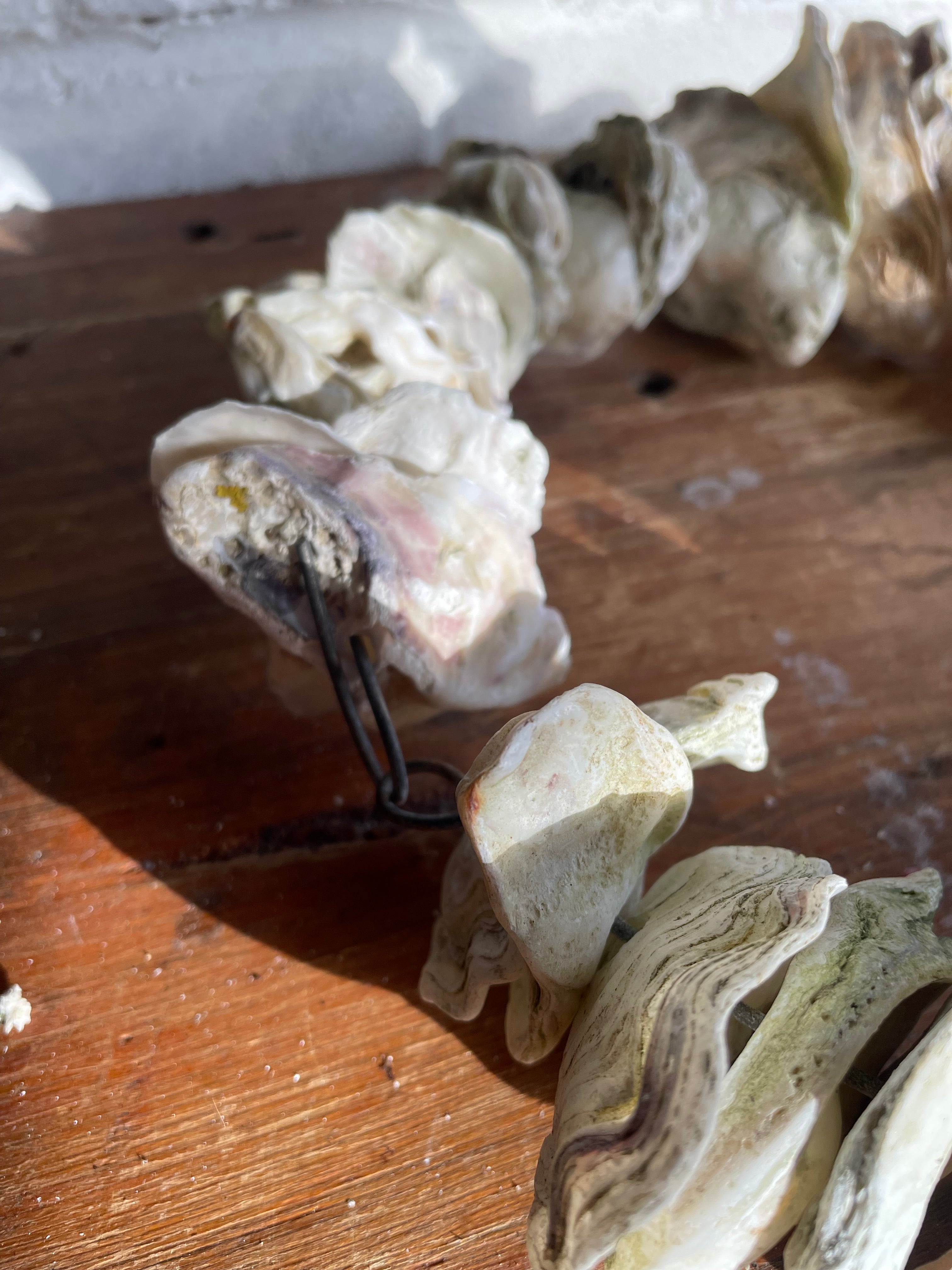 Clam Shells Wreath Wall Hanging