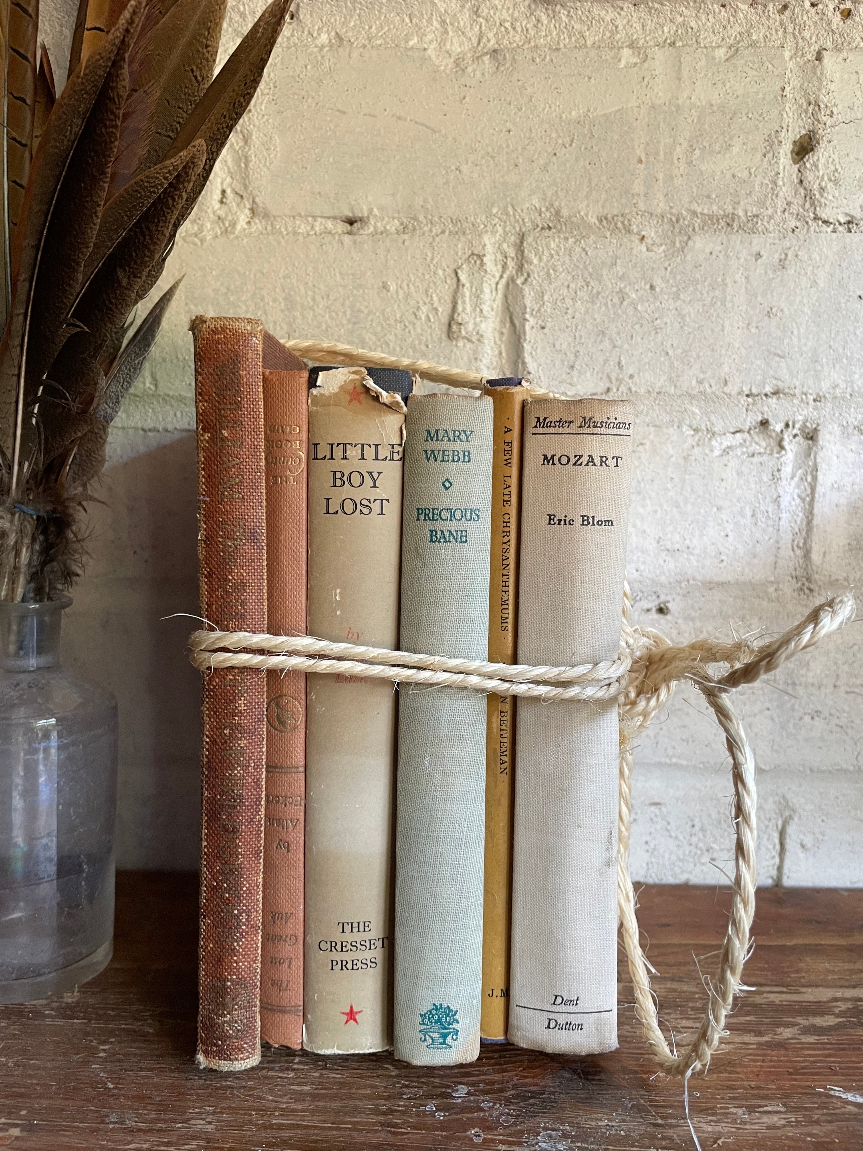 Beige Book Bundle