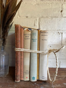 Beige Book Bundle