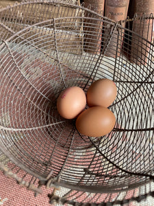 French Vintage Wire Egg Basket