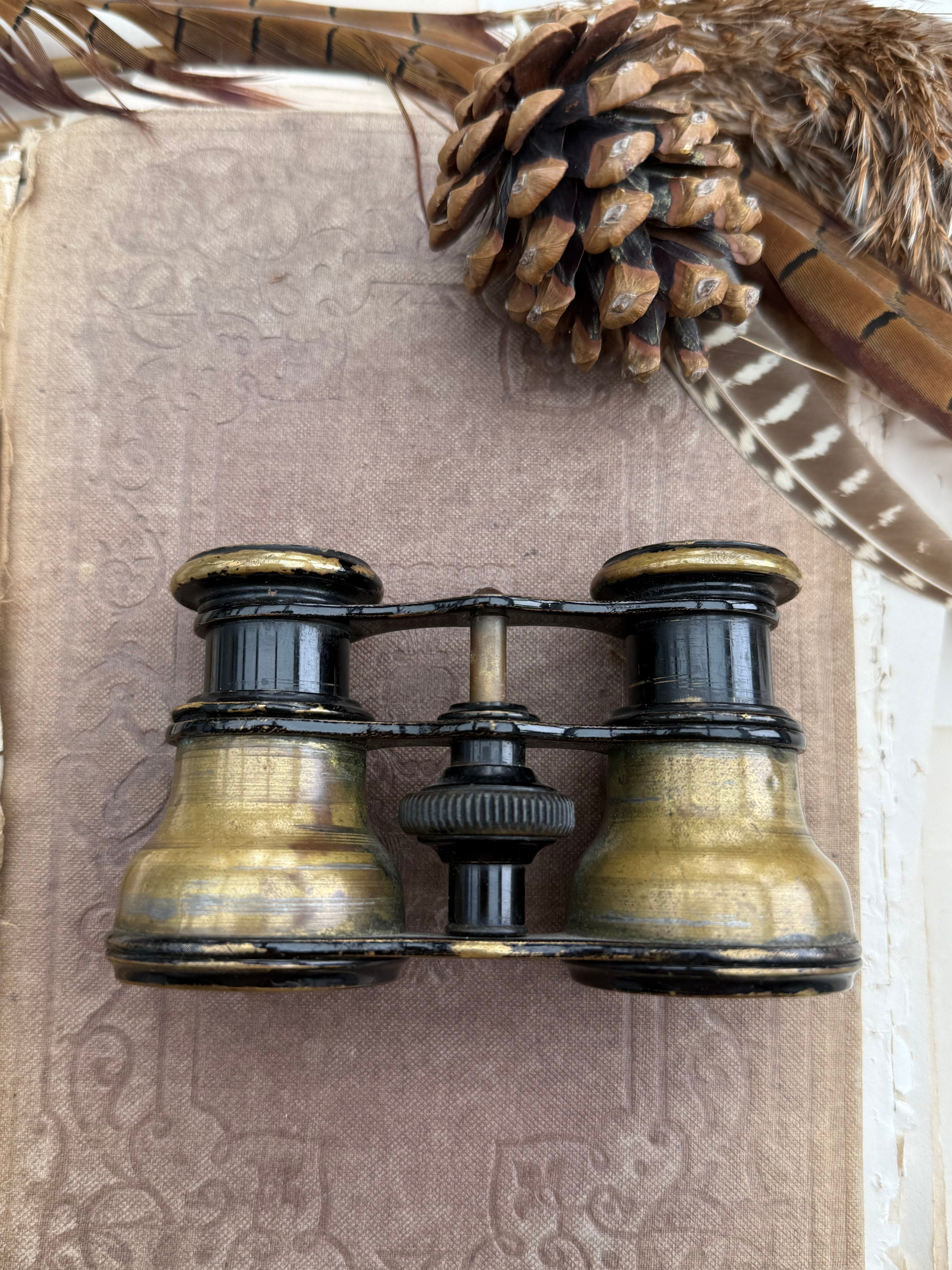 Early 1900s Brass Opera Glasses