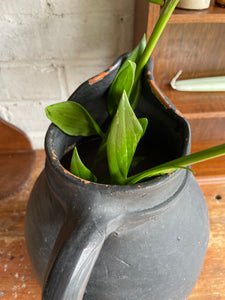 Earthenware Vase in Black Hues