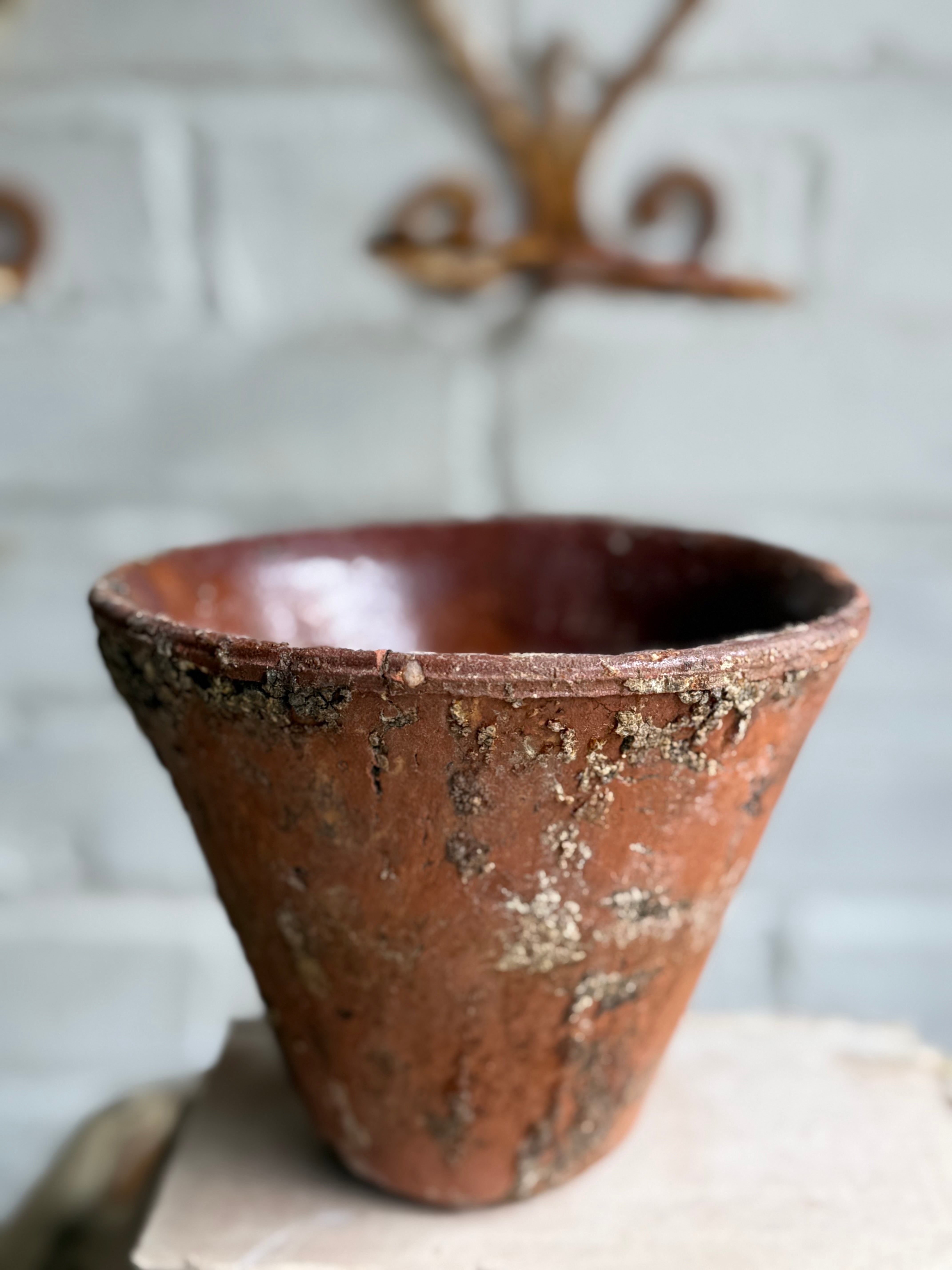 Rustic French Iron Plant Holder with Antique Resin Pot 2