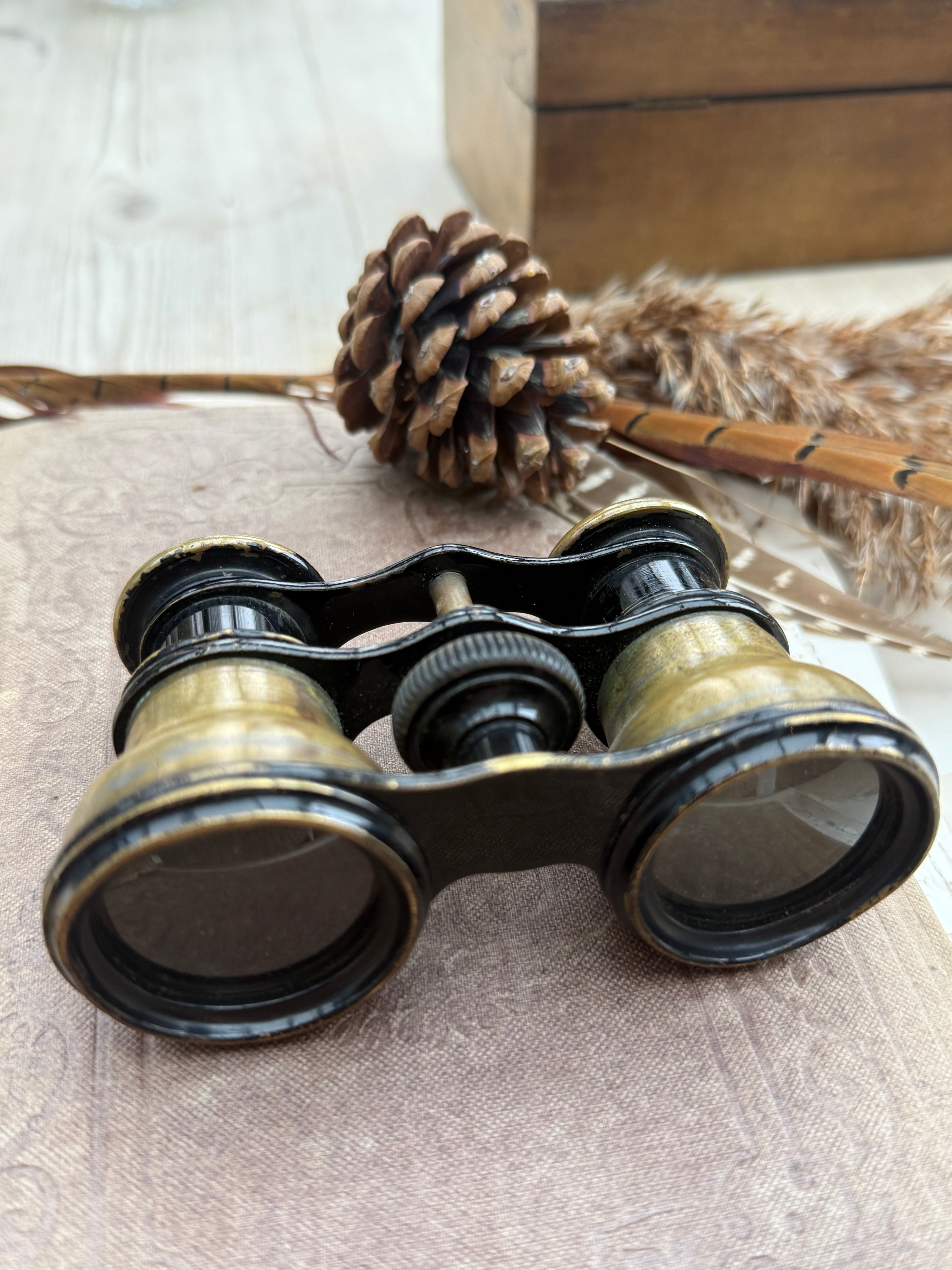 Early 1900s Brass Opera Glasses