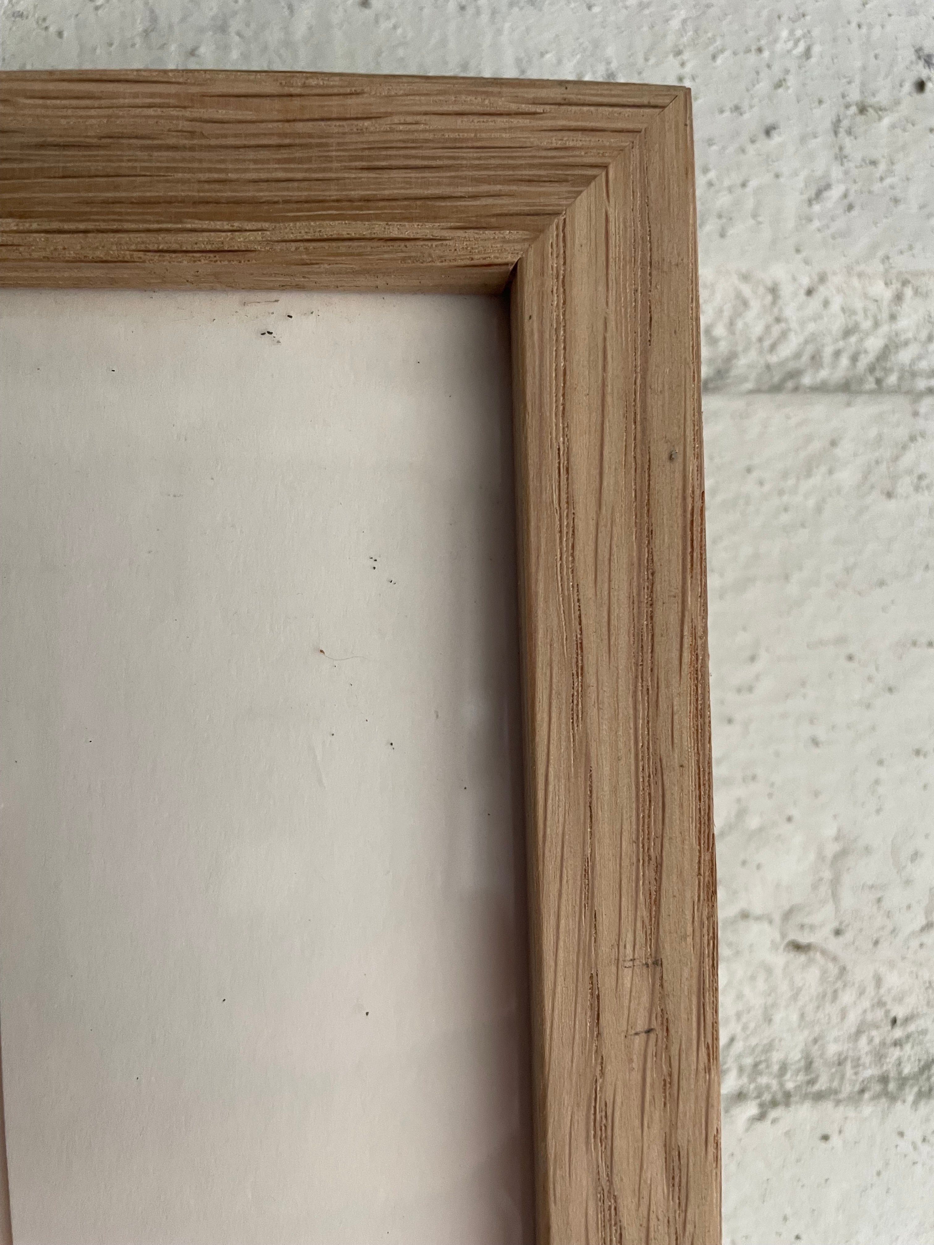 Framed 19th Century Botanical Illustration of Roses