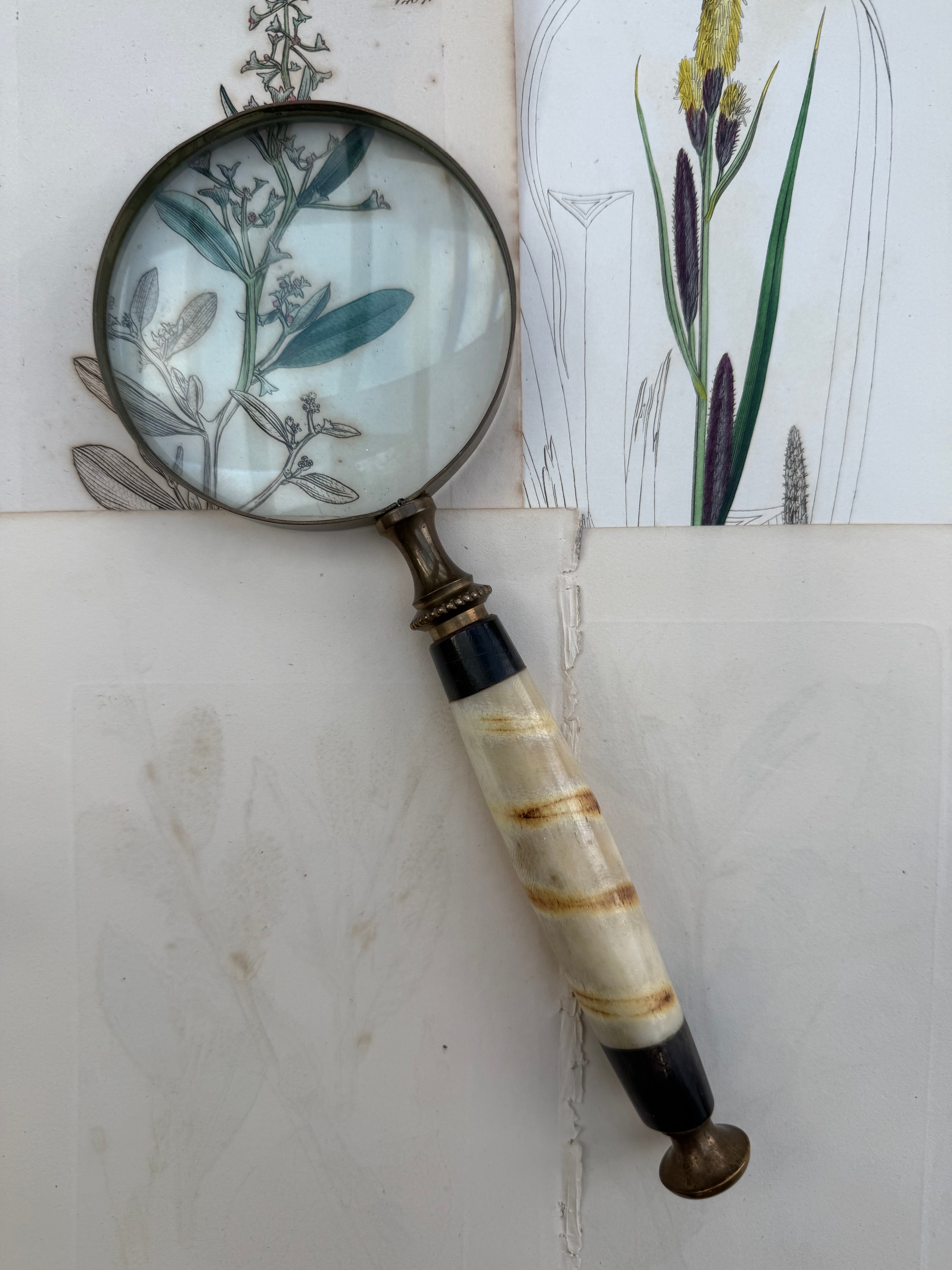 Large Vintage Brass & Alabaster Magnifying Glass: Circa 1940